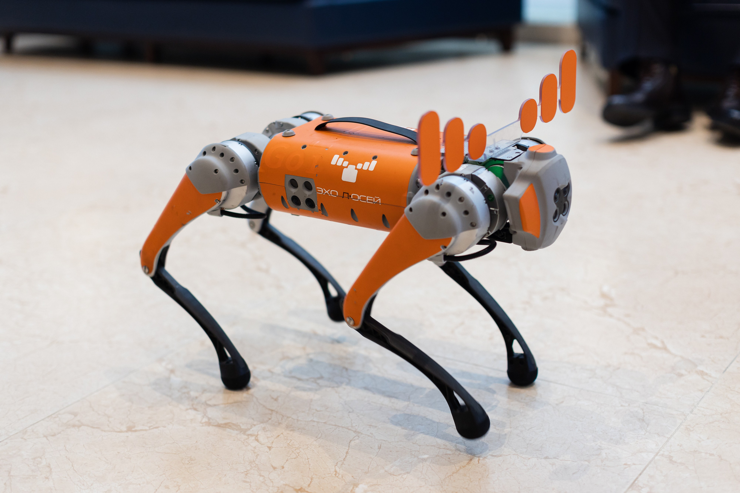 IVA DAY 2024. Свадебный и портретный фотограф в Королёве Сергей Чихарев