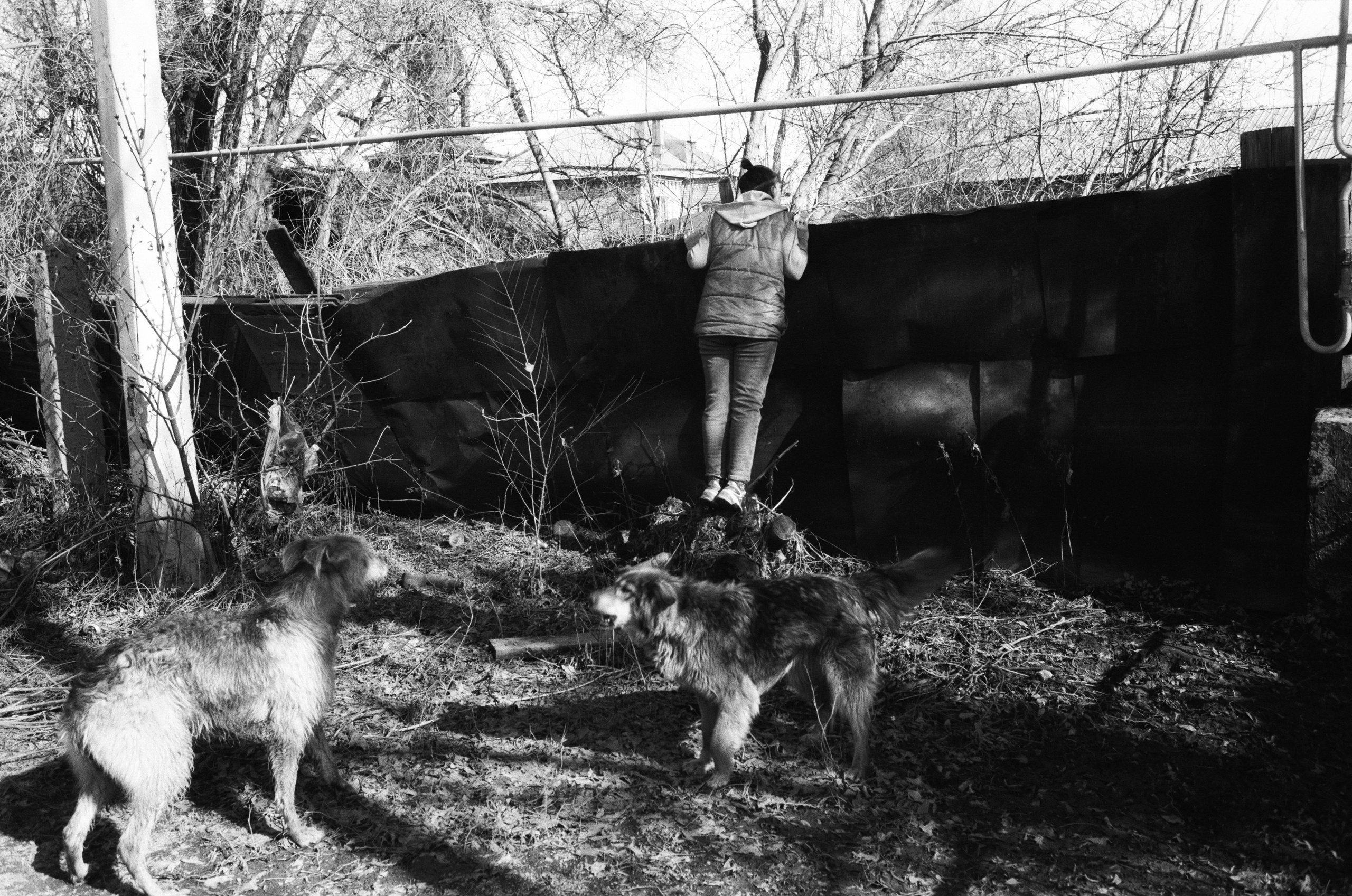 Что в моем дворе? | 11.04.2024 / г. Орск