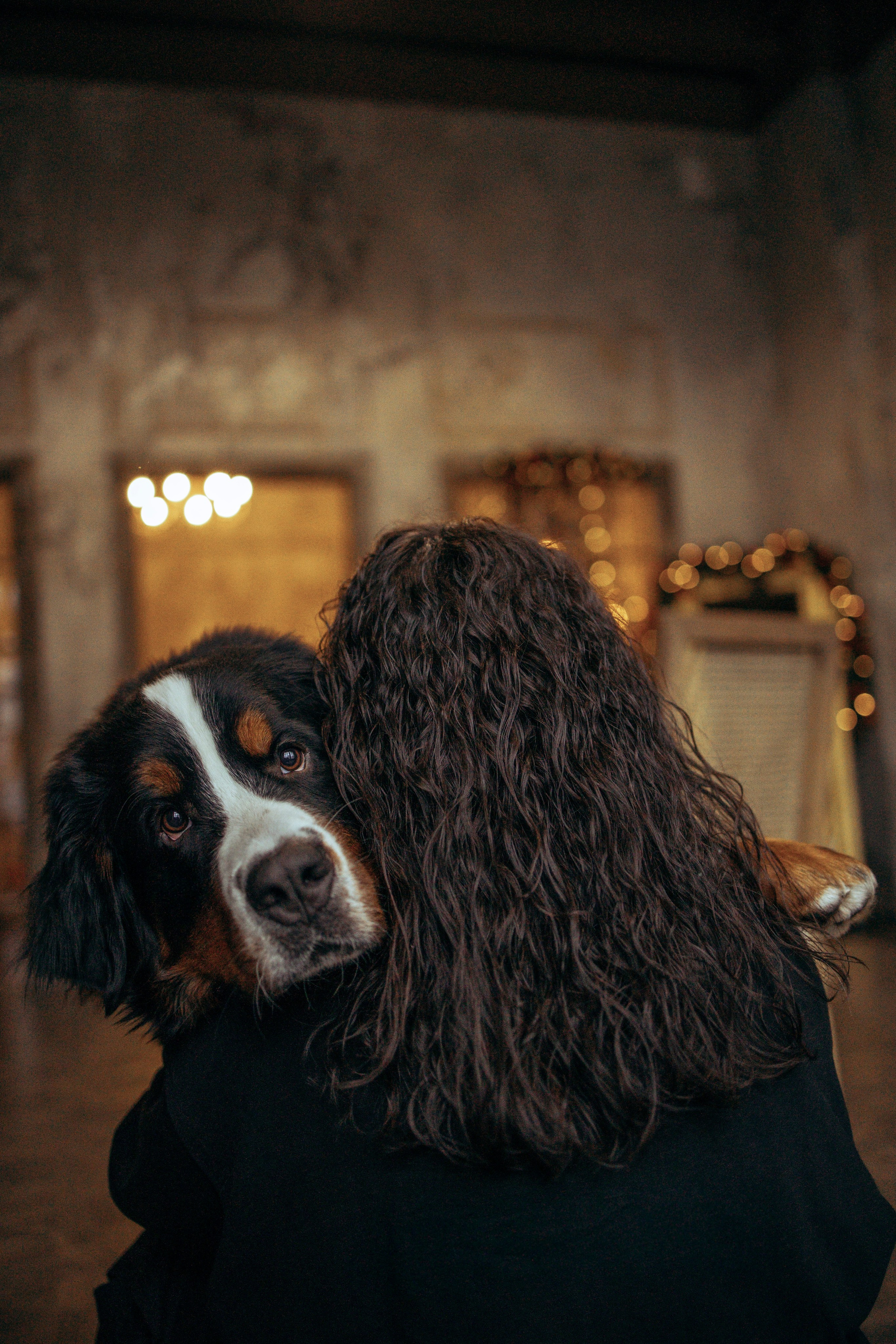 Съемка в студии с собакой. Анастасия Белаш