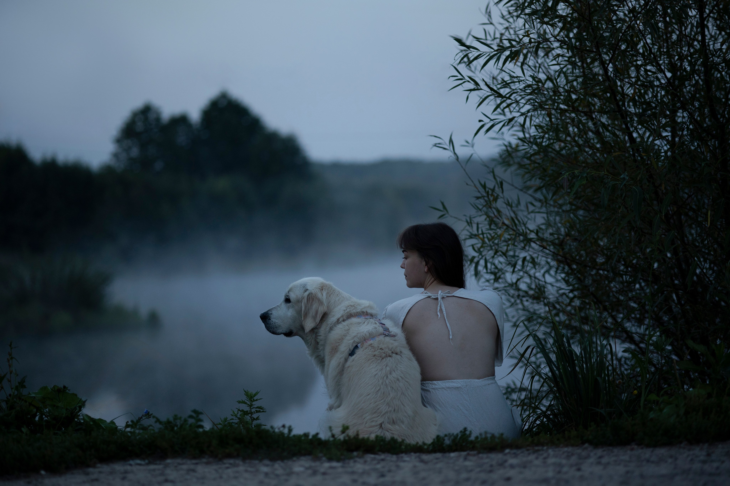 Рассветная съемка с собакой. Анастасия Белаш