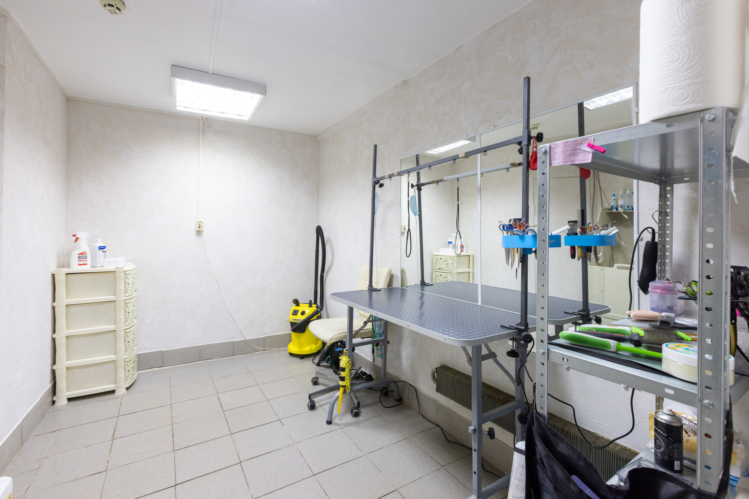 ГРУММИНГ. Фотограф в Туле Крупский АнДРей. Фотостудия «КАДР71» в Туле