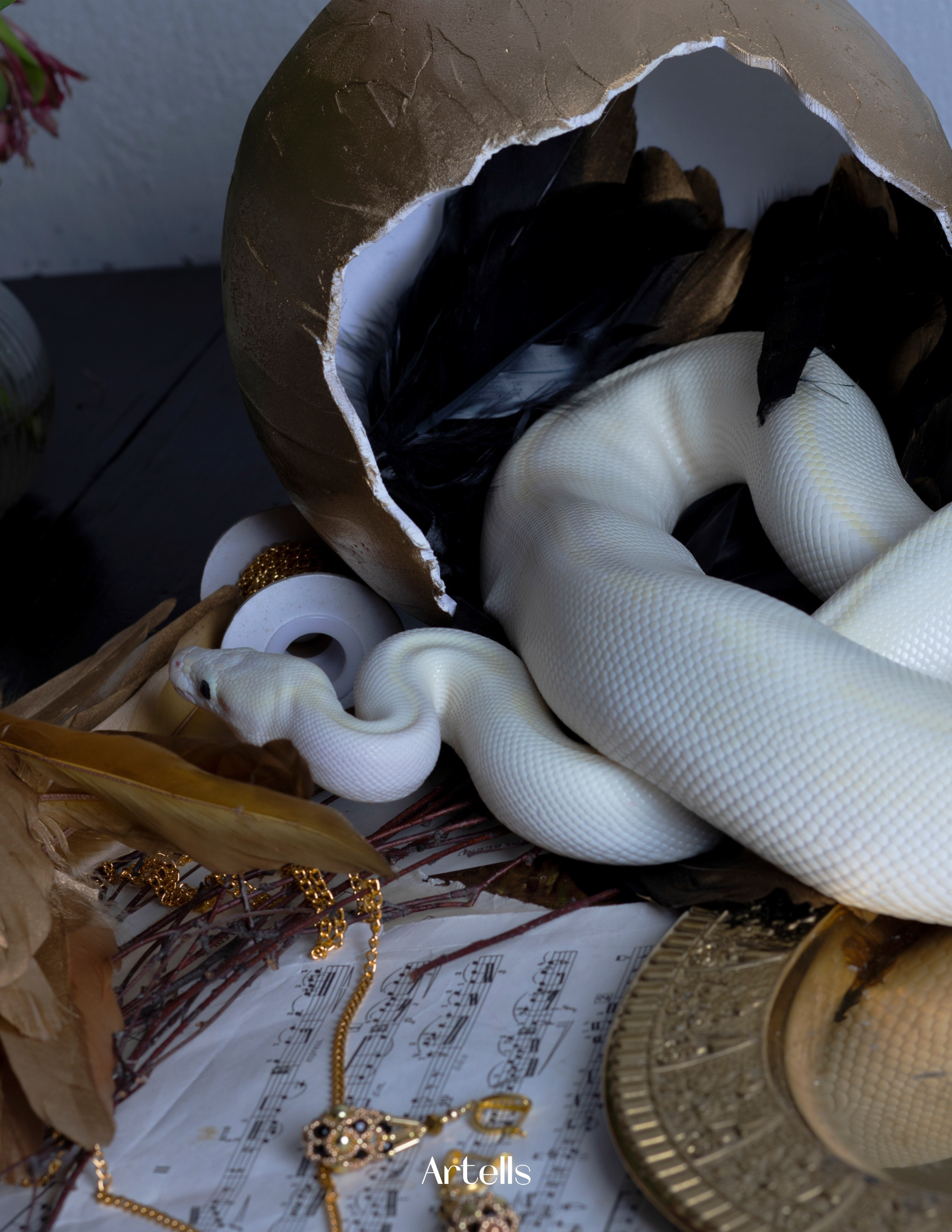 Artells magazine. Elizabeth Marriott