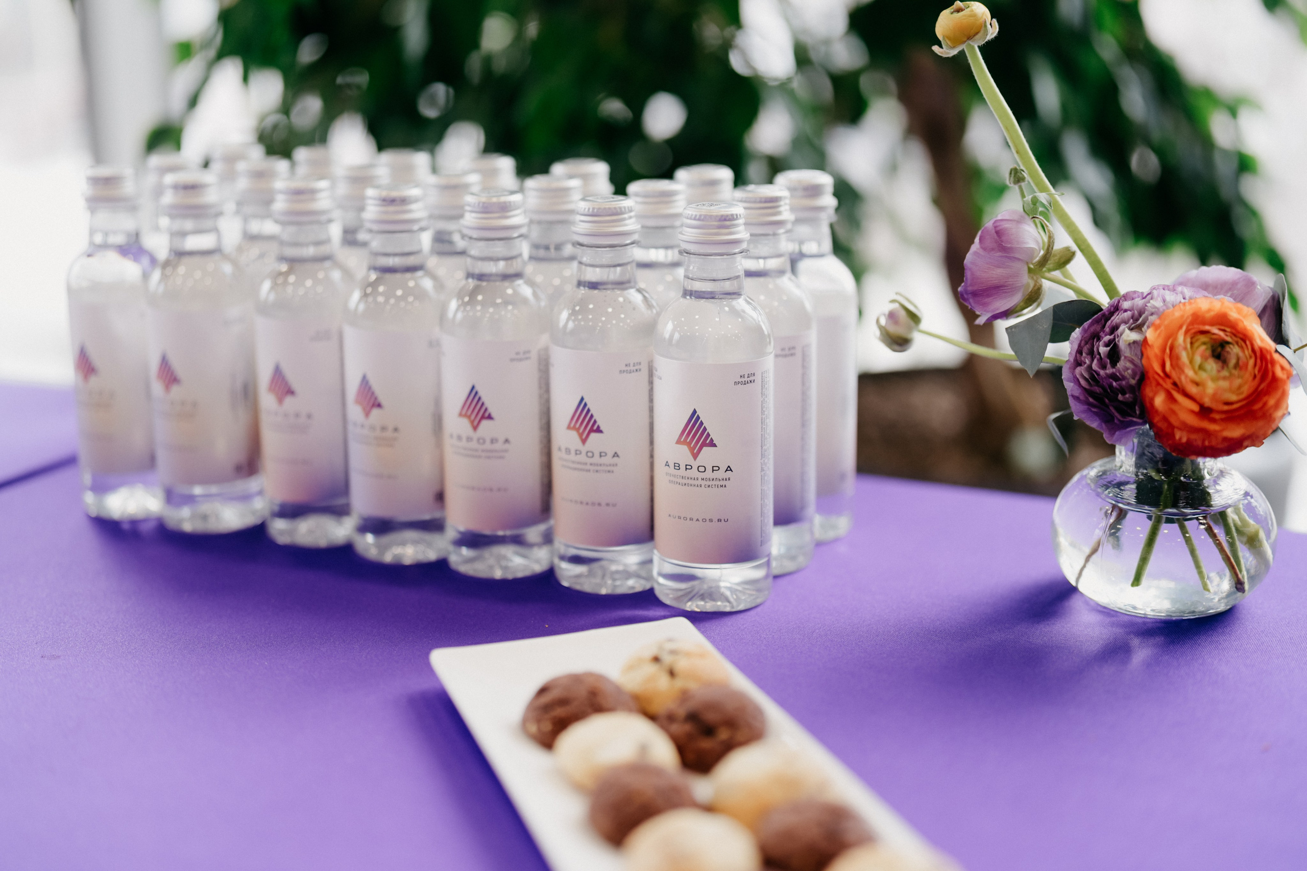 Разработка приложений ОС АВРОРА. Фотограф в Москве Дмитрий Рогов