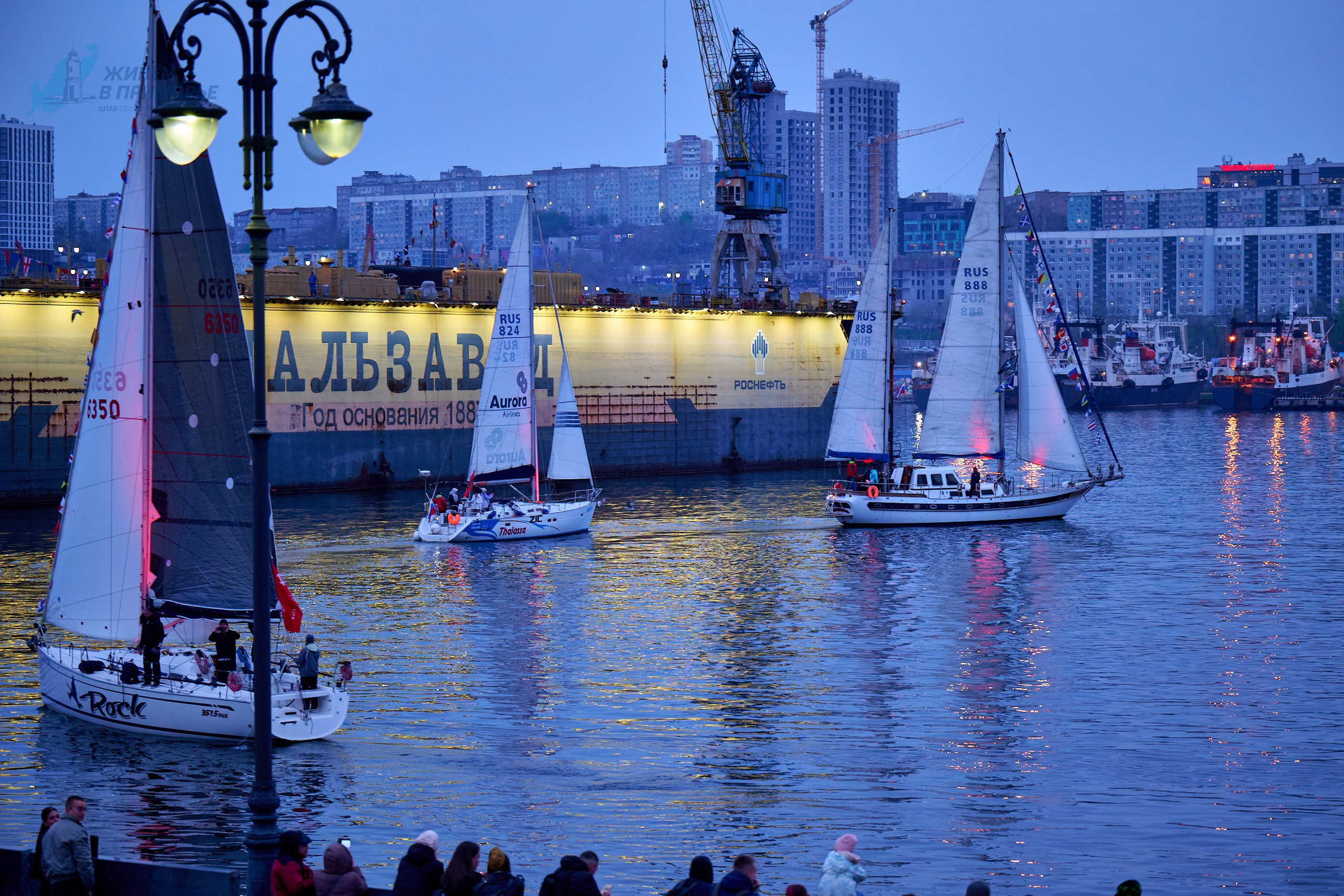 9 мая 2025. Профессиональный репортажный фотограф Инесса Иминова