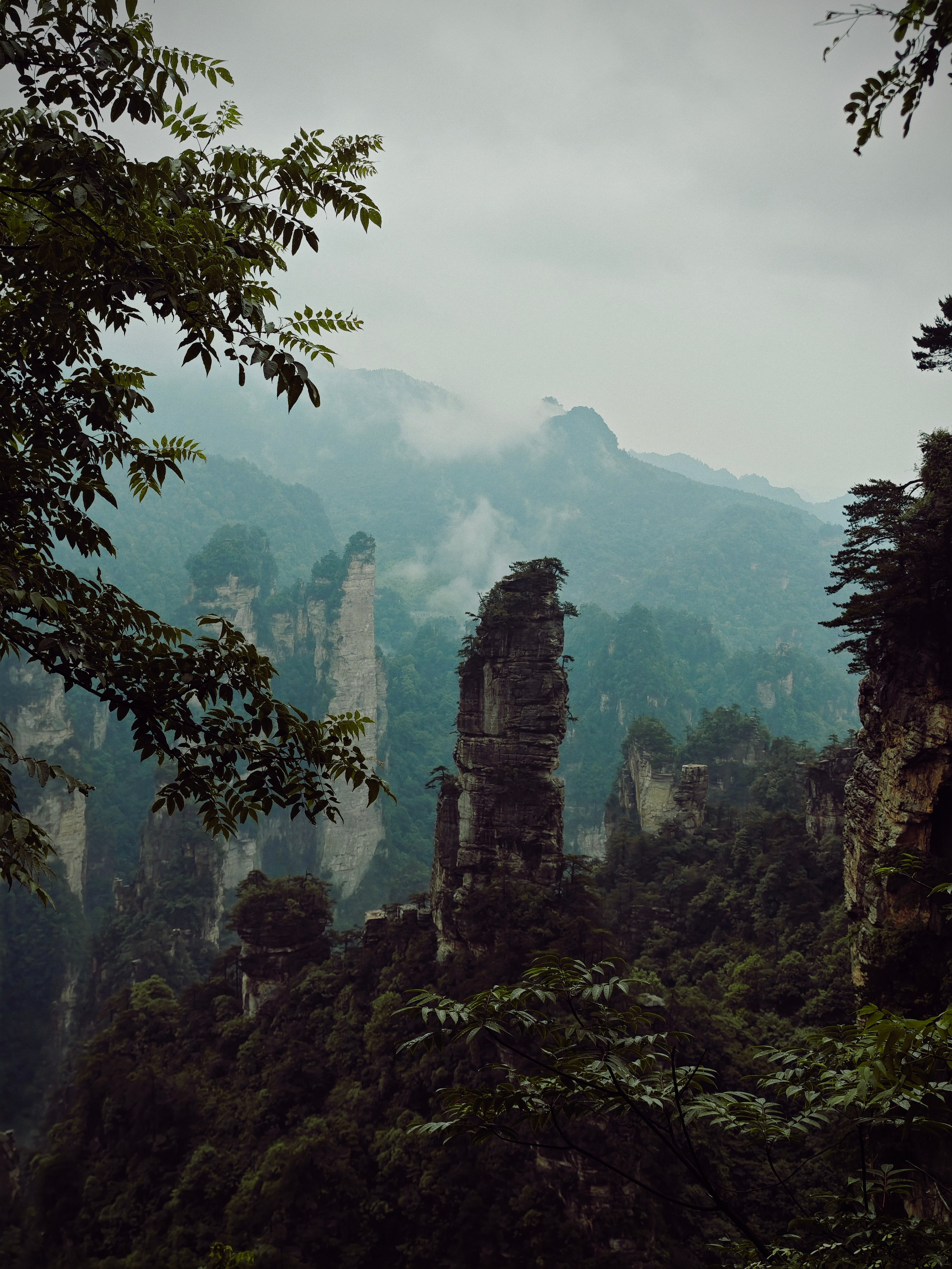 The Great Journey to China. Brjankin.com