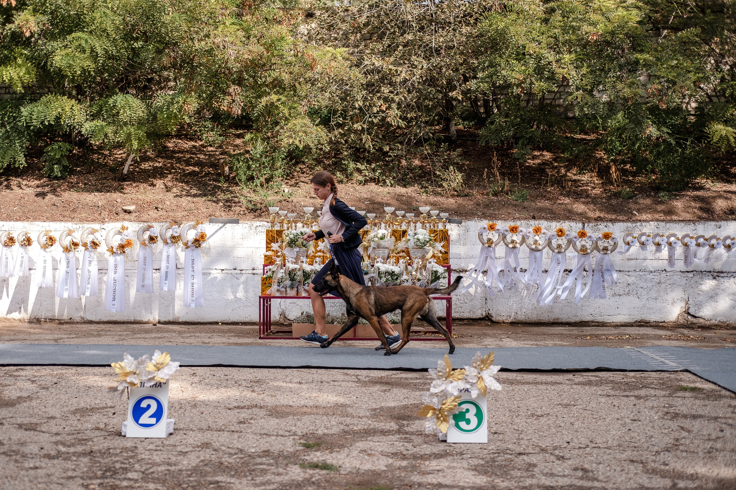 Выставки. Фотограф Марк Файзулин