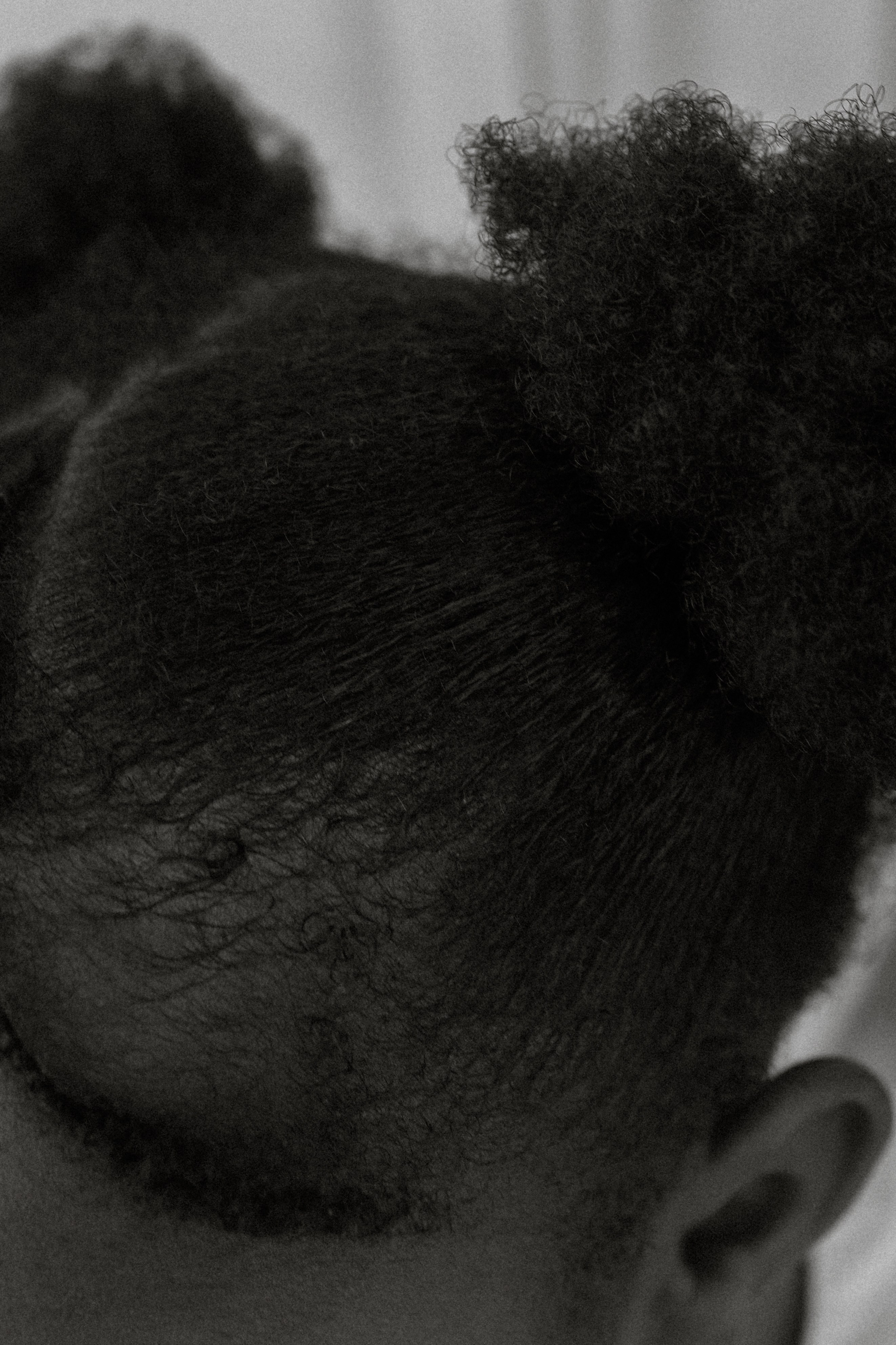 Кади и Маша. Фотораф — анималист Мария Шистка