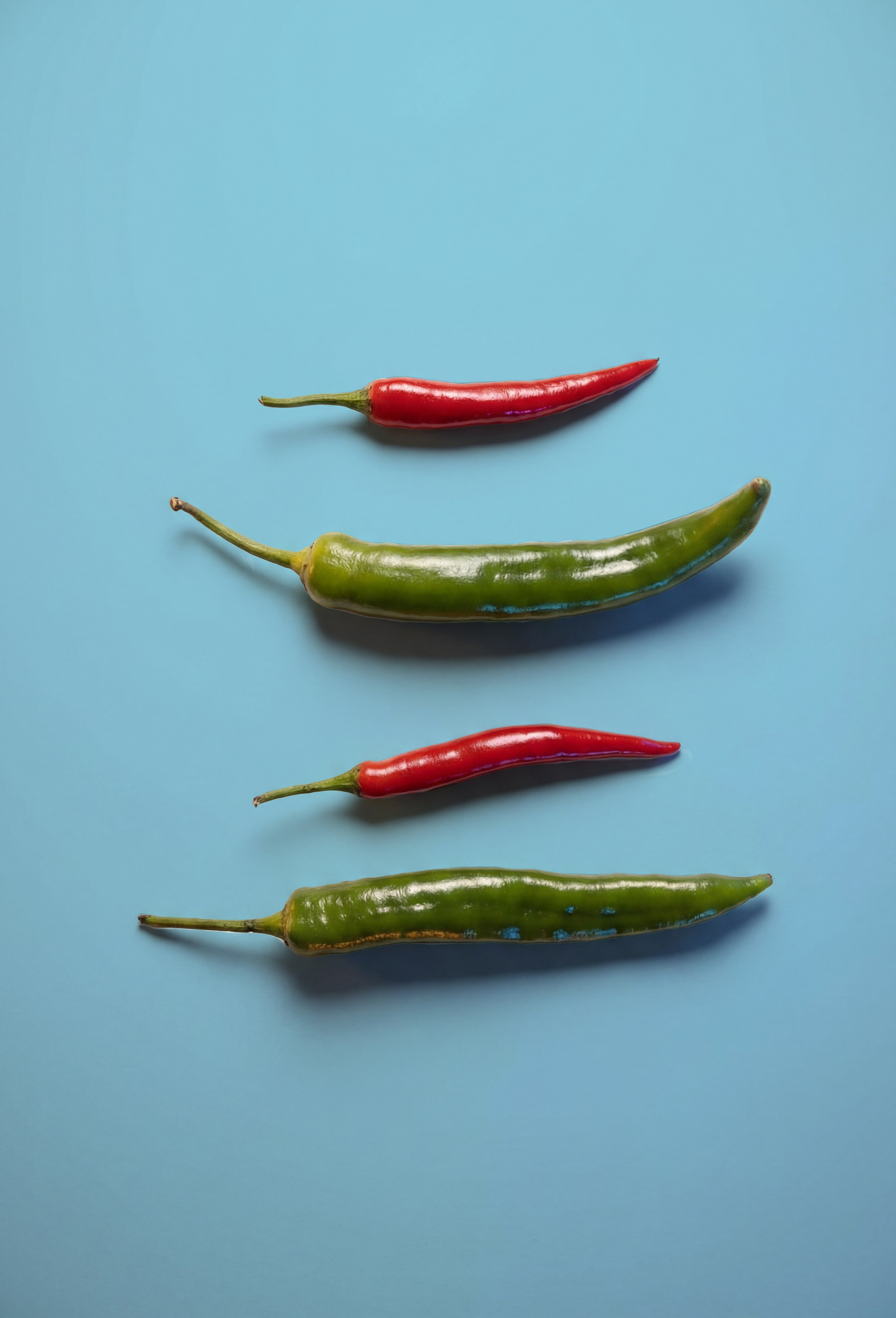 Предметная. MUSLUEV