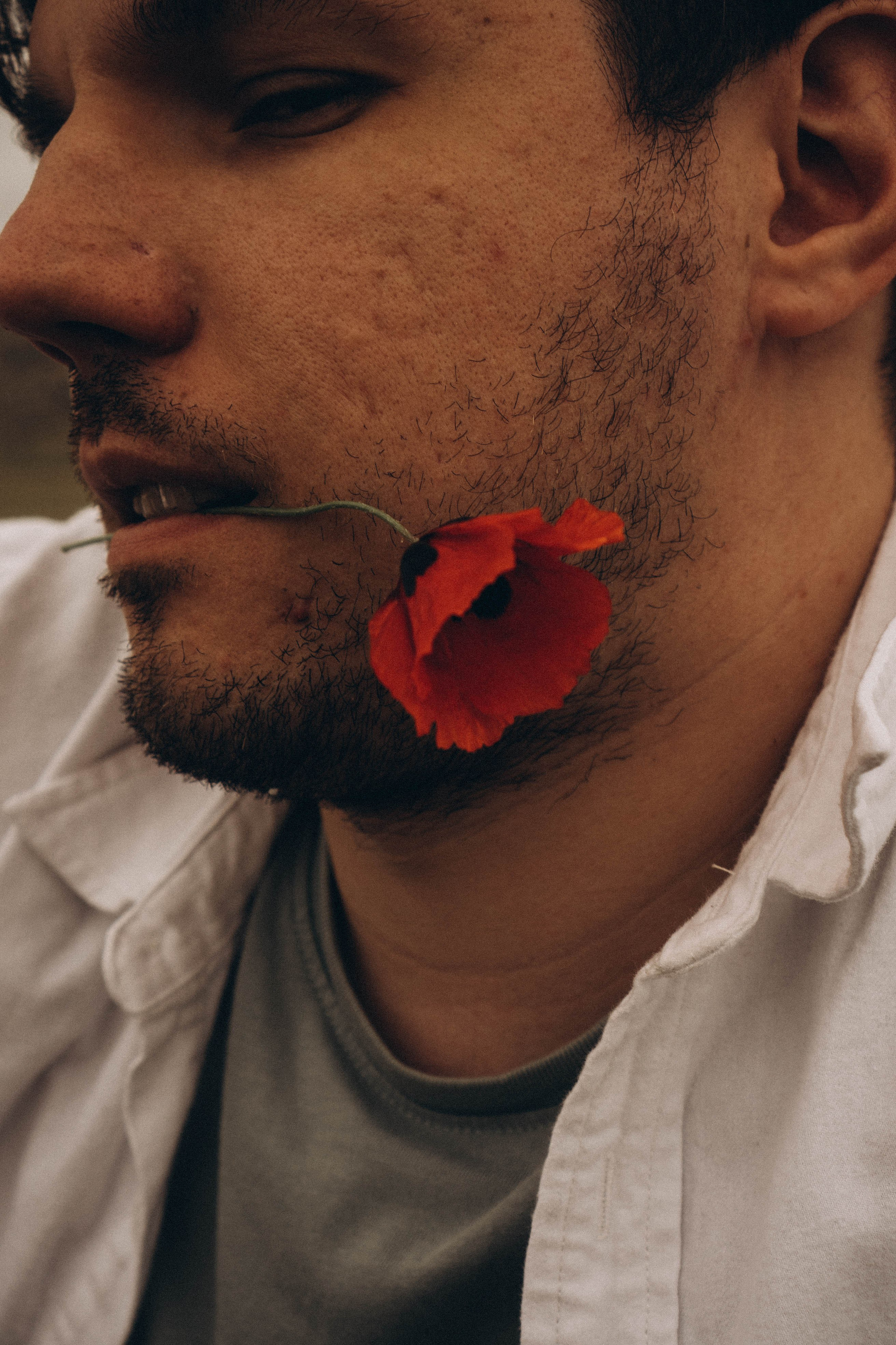 Маки. Профессиональный фотограф, Санкт-Петербург — Виктория Богомолова