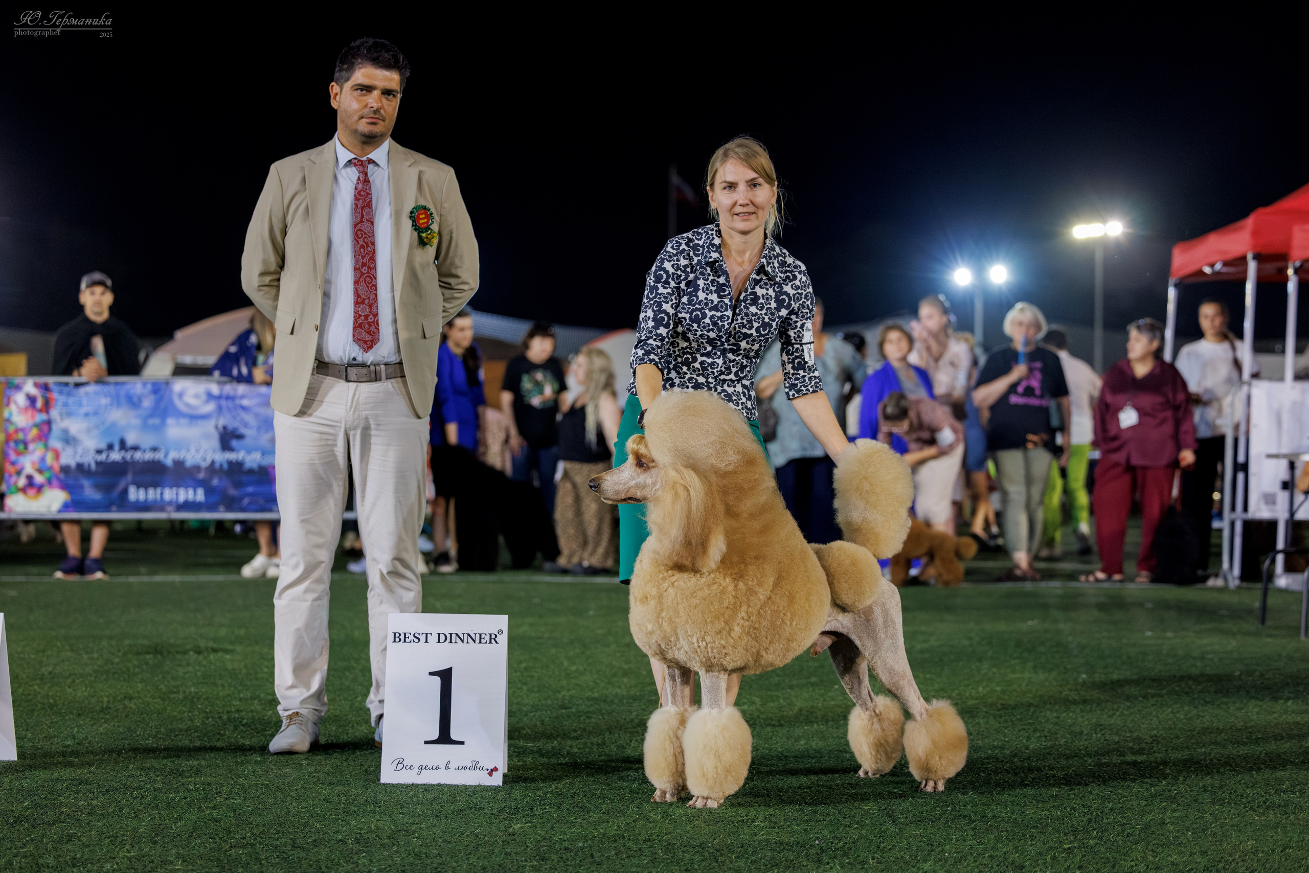 Калининград 25-27.07 Волгоград 1-3.08 2025. Фотограф-анималист Юлия Германика