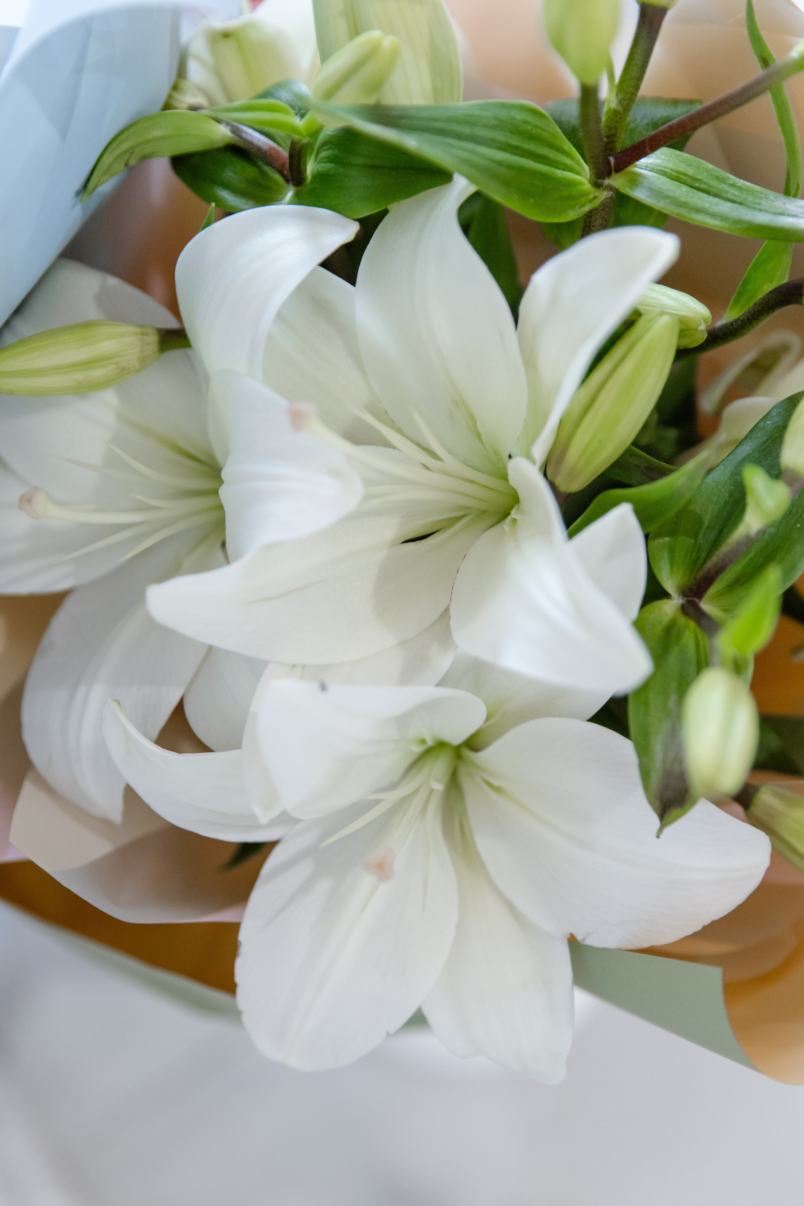 Свадебный день Саши и Лады. Свадебный фотограф Анна Бабахина