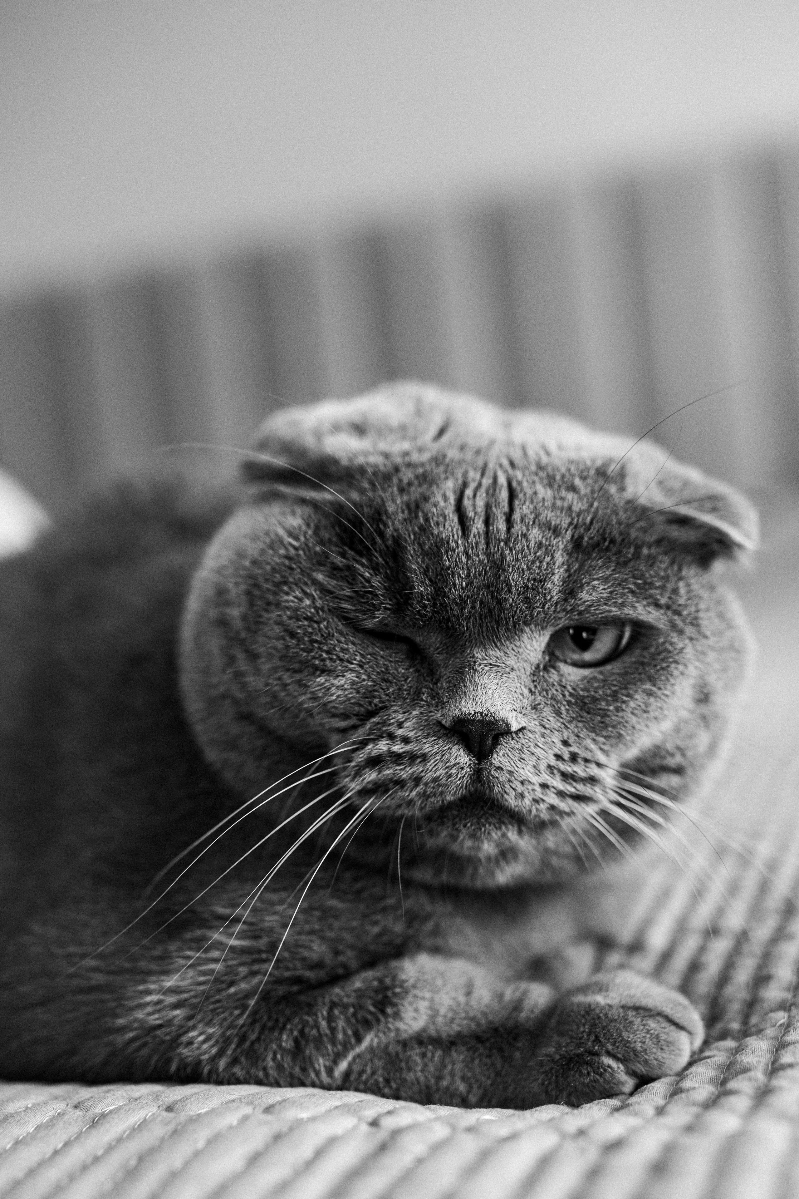 Бесконечная любовь❤️. Фотограф Санкт-Петербург