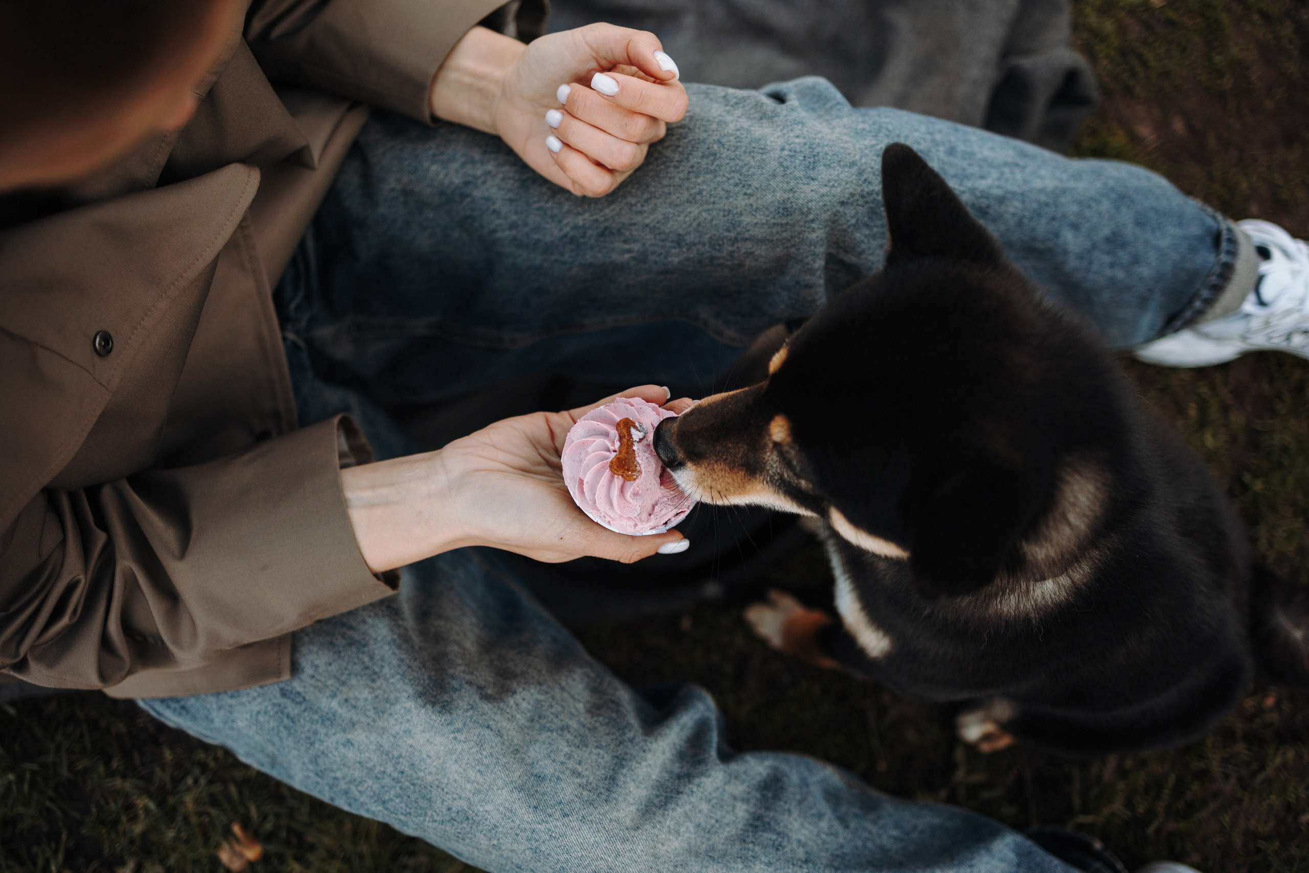 Даша и ее девочки. Фотограф — Анималист | Санкт-Петербург