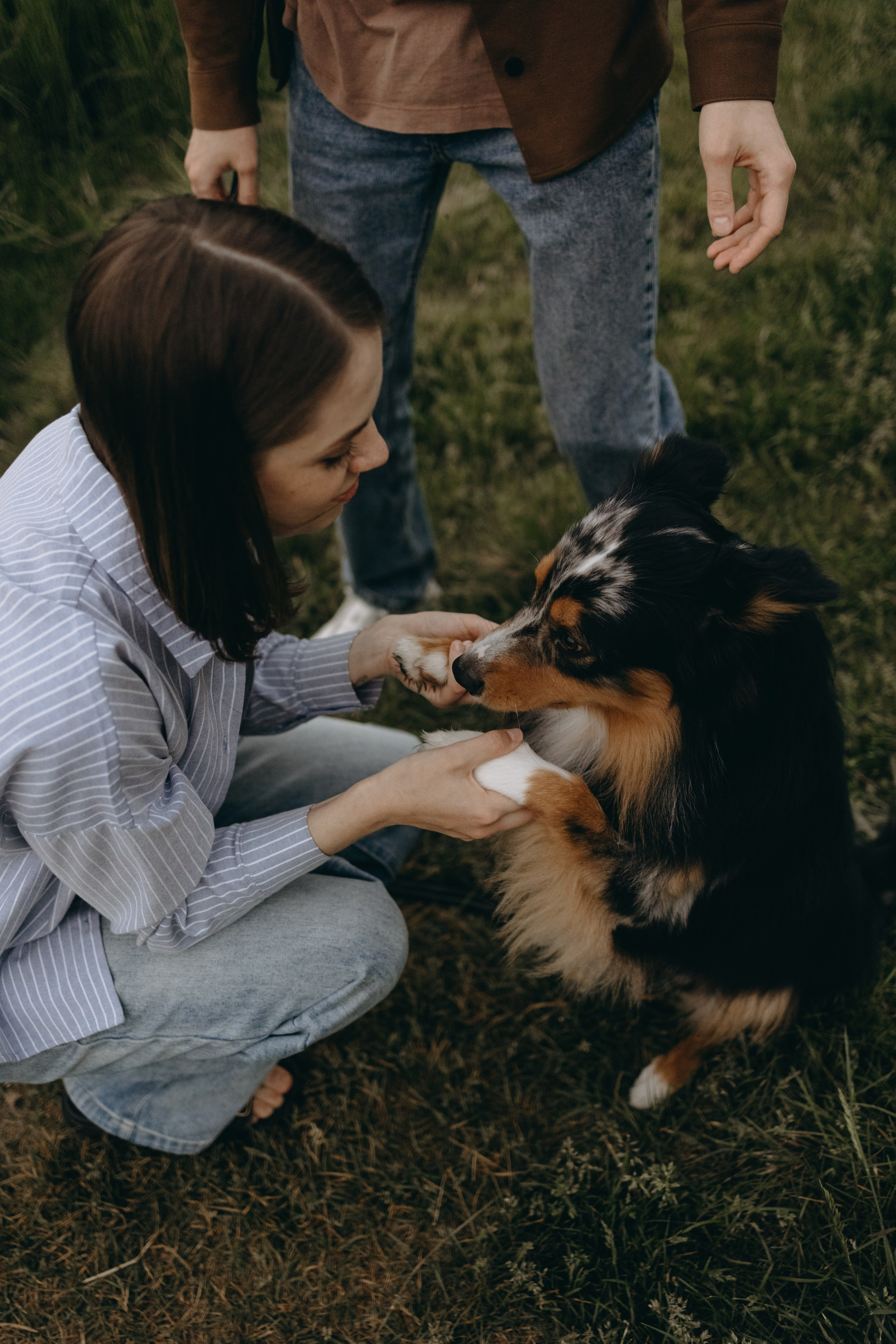 Настя, Никита и их Гром и Мяу. Фотограф — Анималист | Санкт-Петербург