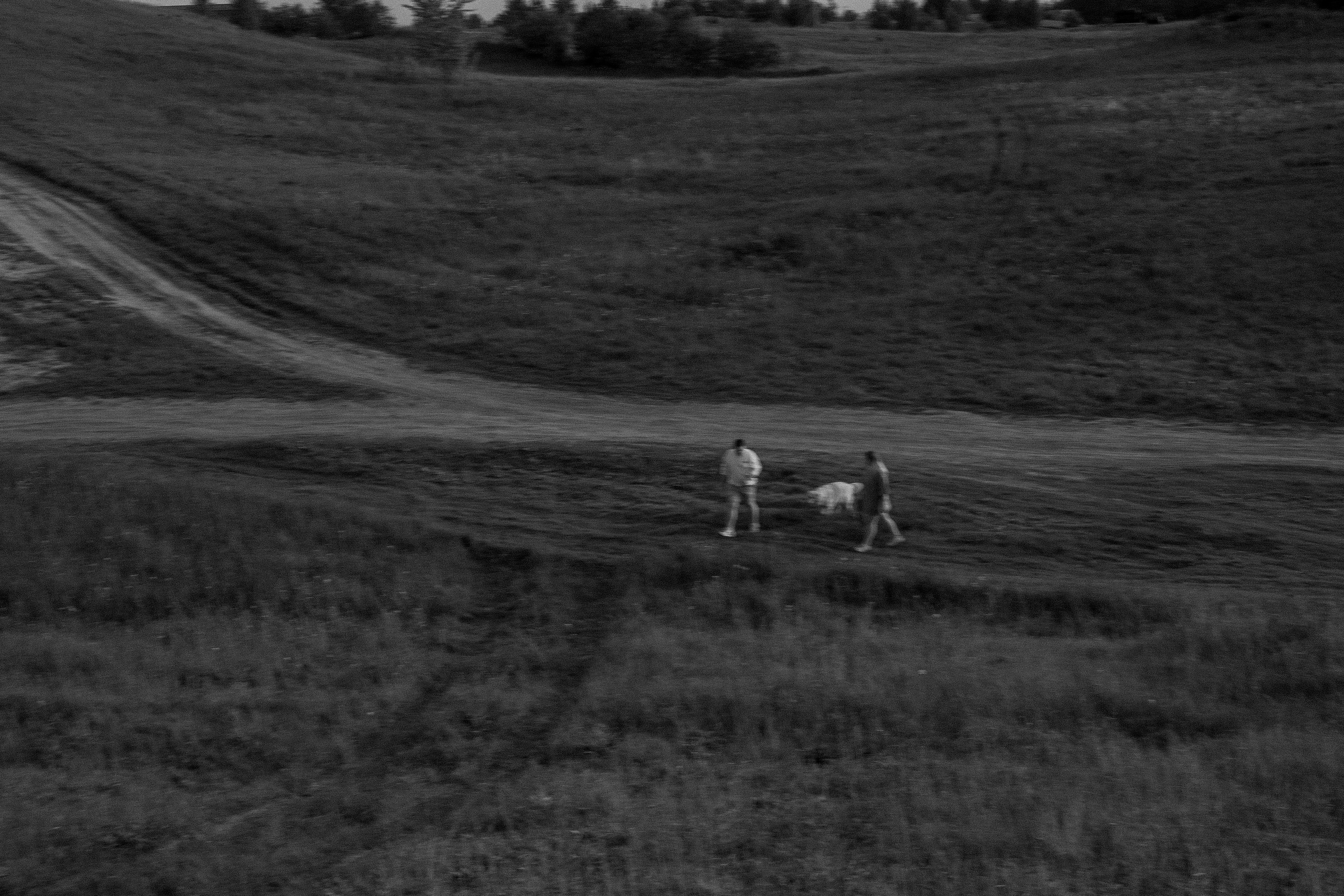 Милка и ребята. Фотограф — Анималист | Санкт-Петербург