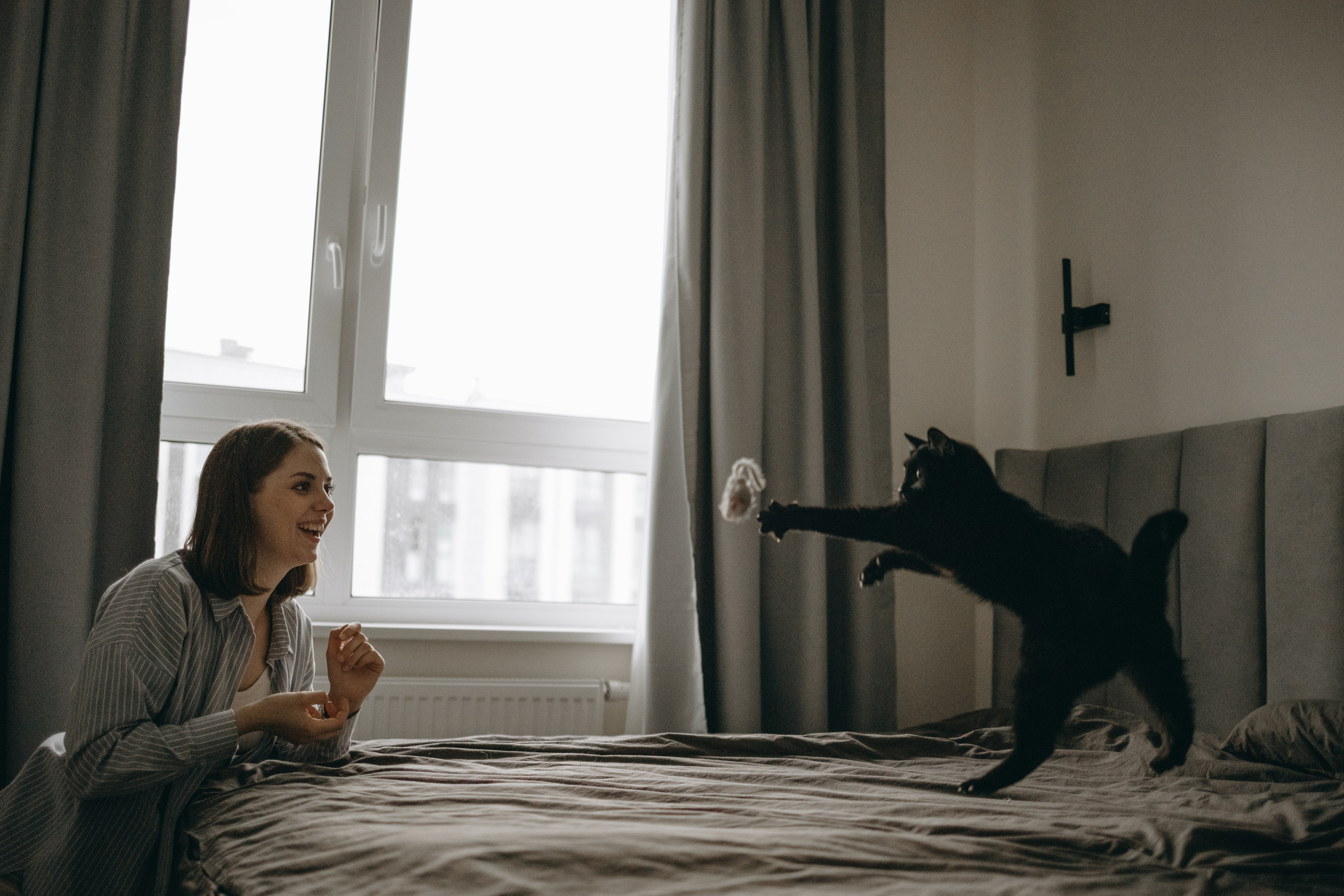 Настя, Никита и их Гром и Мяу. Фотограф — Анималист | Санкт-Петербург