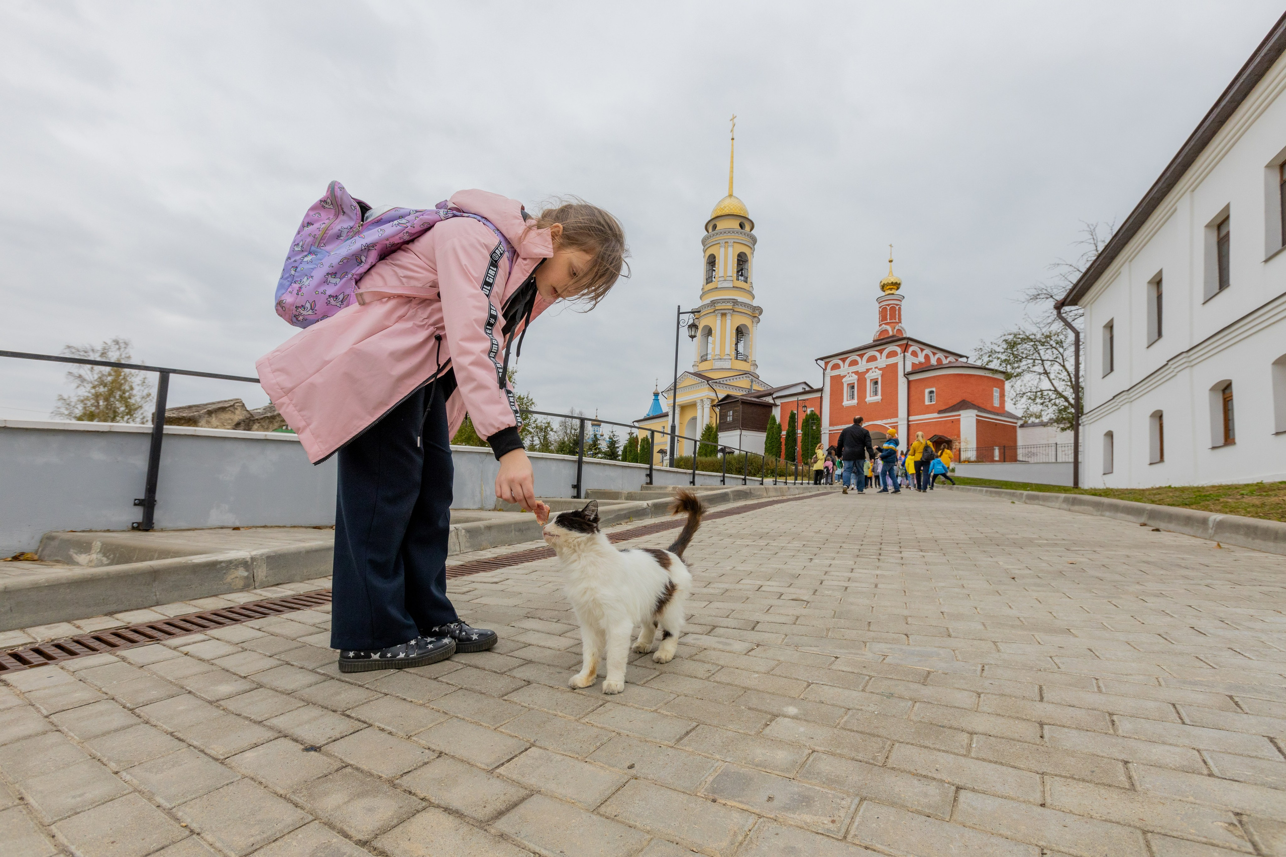 Поездка в Белев и на производство пастилы. Фотограф в Туле Крупский АнДРей. Фотостудия «КАДР71» в Туле