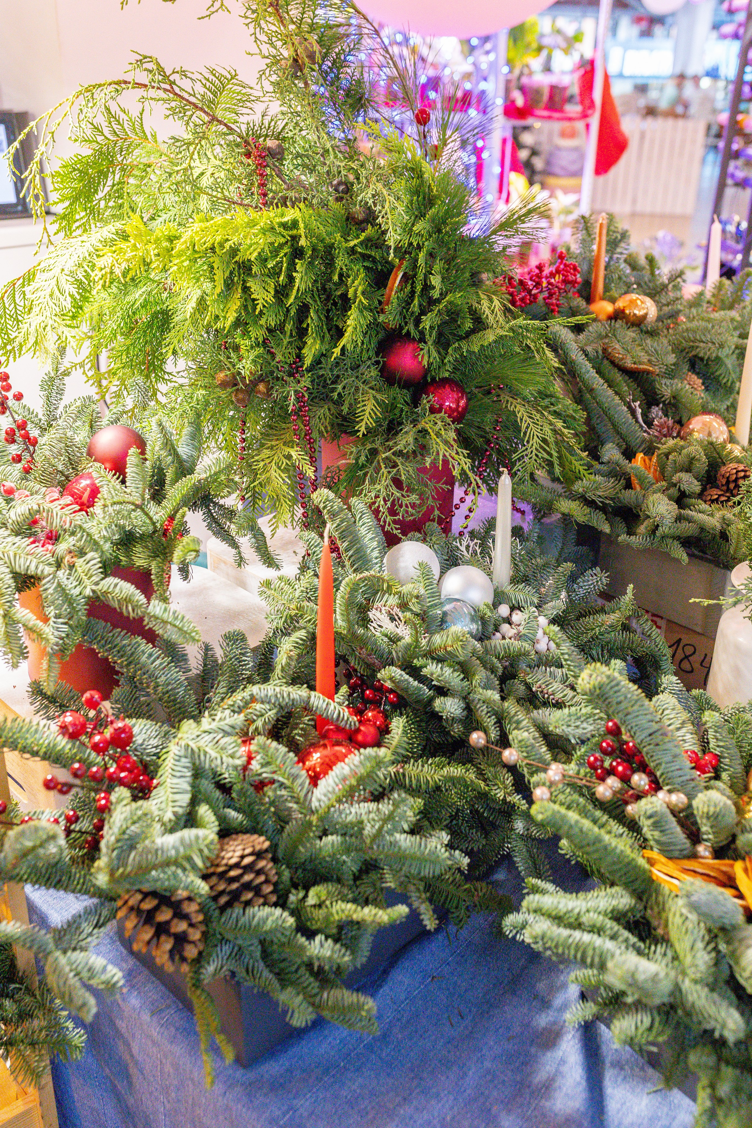 Growbox декабрь 2025. Александра Куликова фотограф, Москва