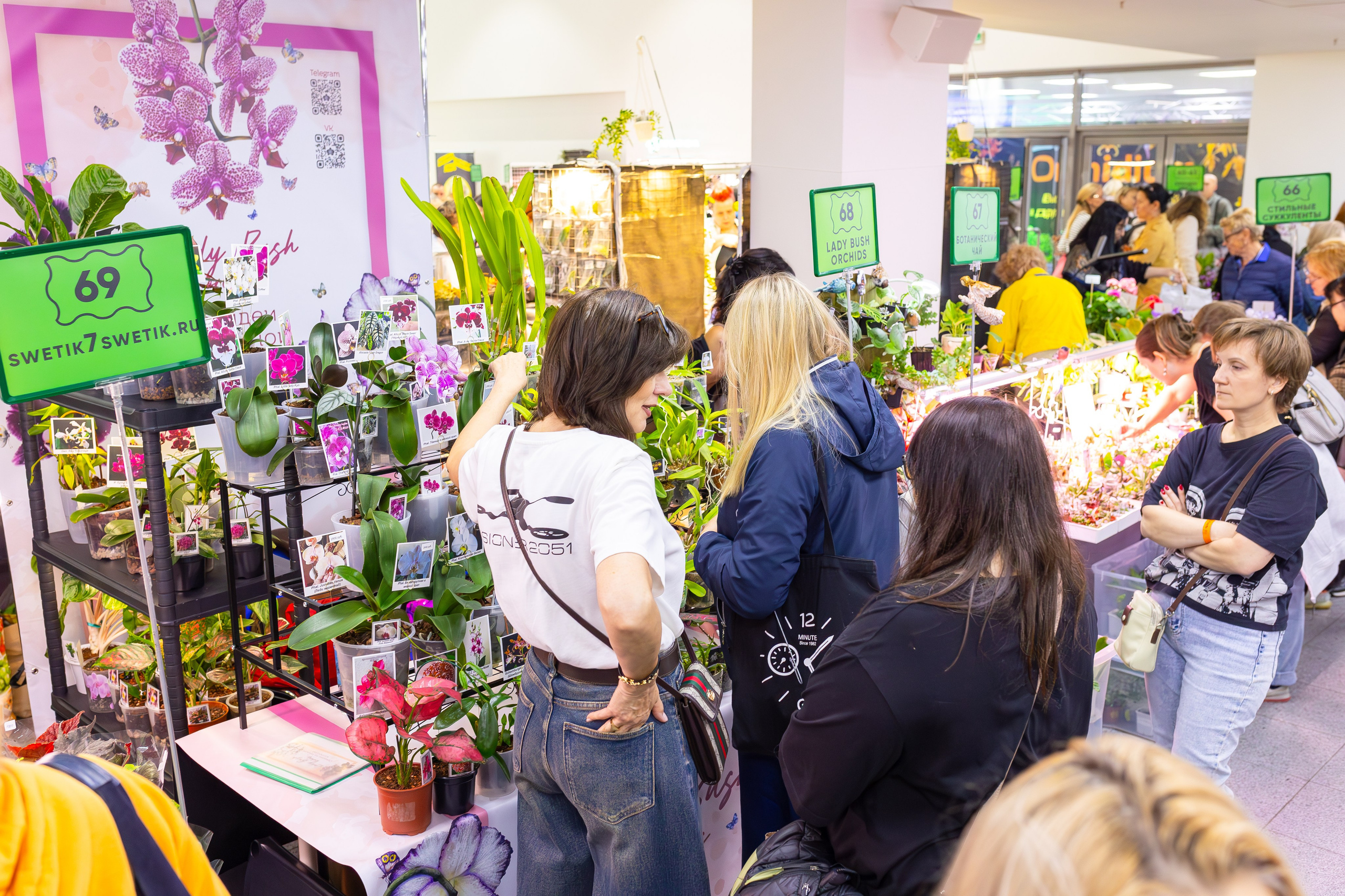 Орхидиум сентябрь 2025. Александра Куликова фотограф, Москва