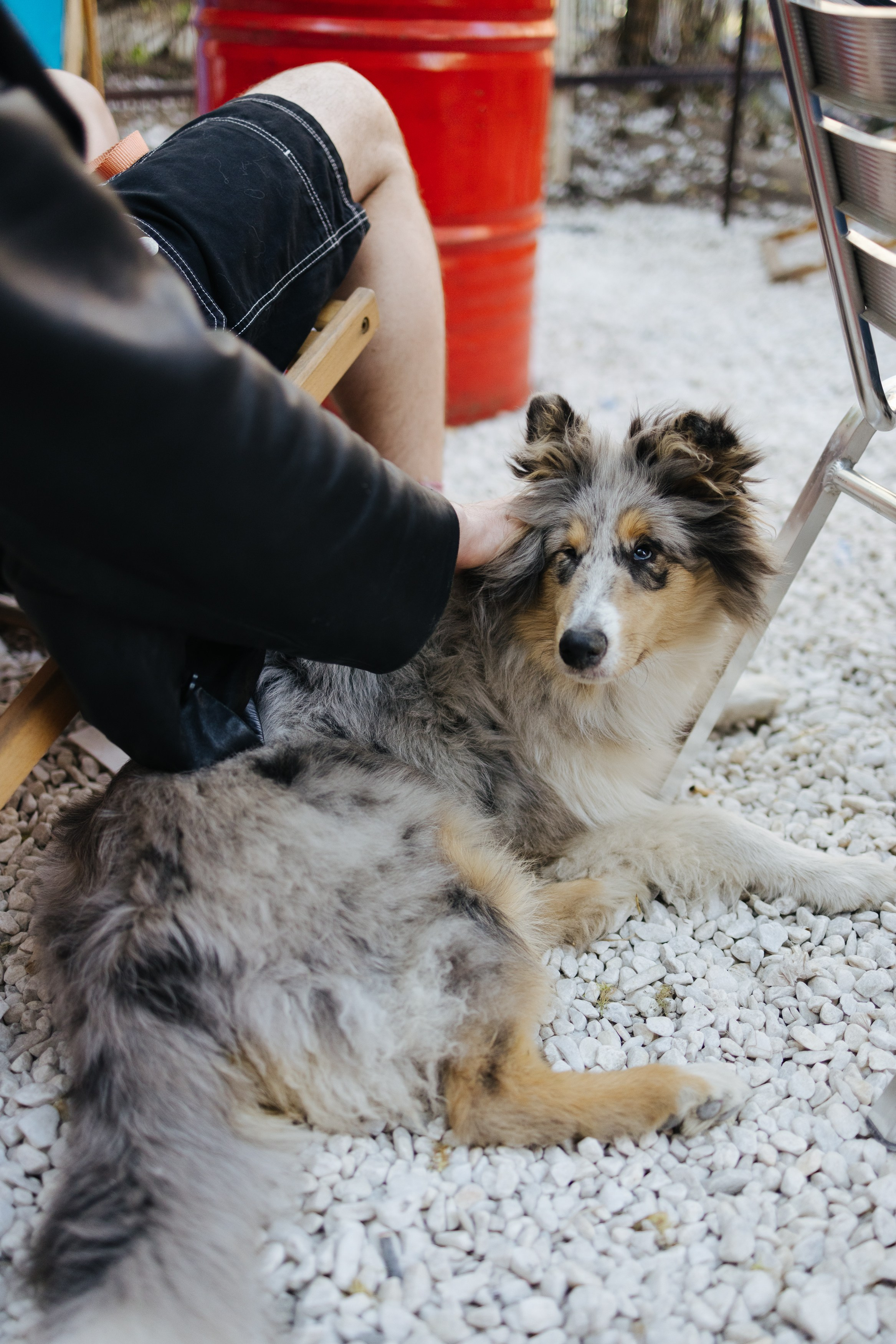 22–23 апреля 2023 в пространстве «Поле». Фотоотчеты «Ламбада-маркета»