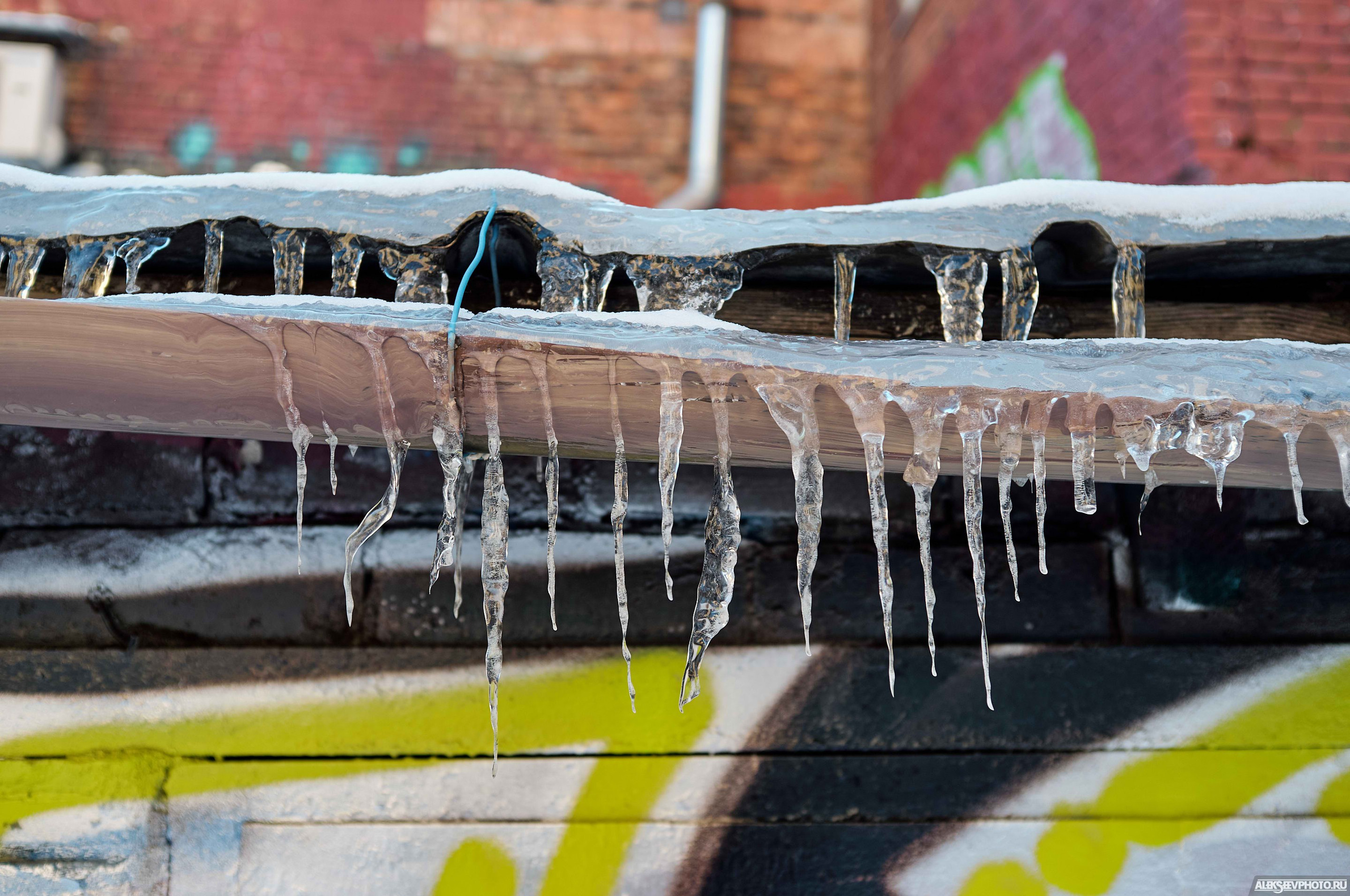 2021.03. Фотограф Алексей Алексеев
