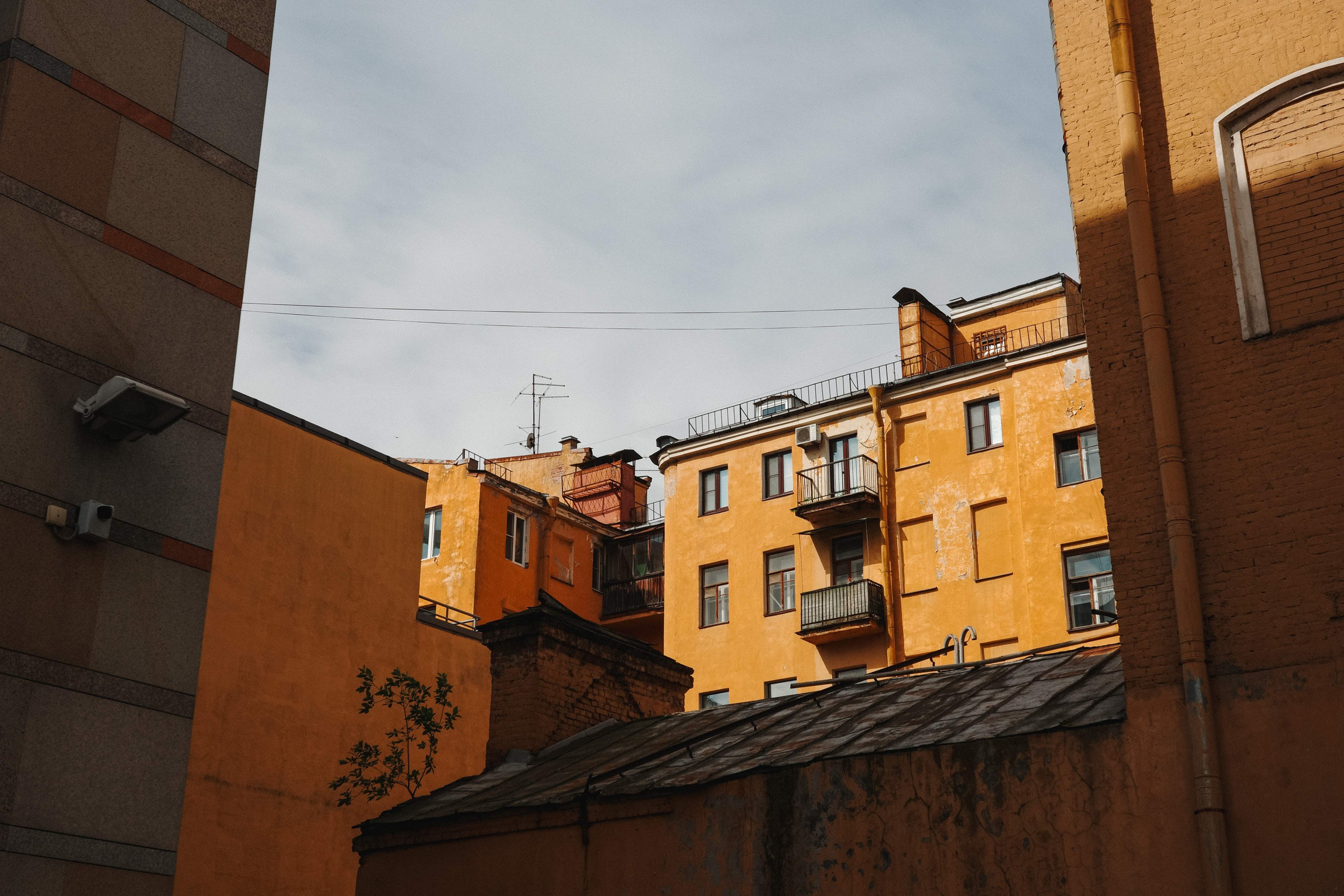 2025.06. Фотограф Алексей Алексеев