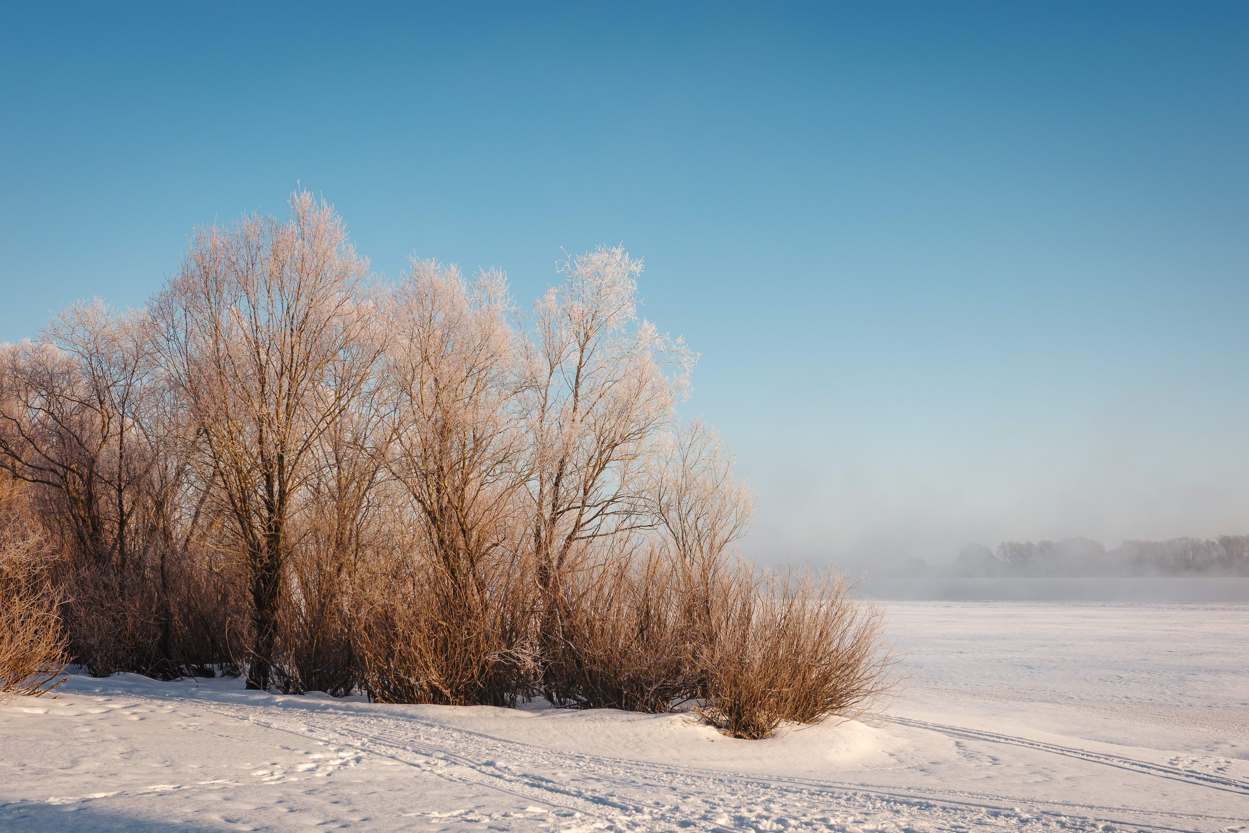 2024.01. Фотограф Алексей Алексеев
