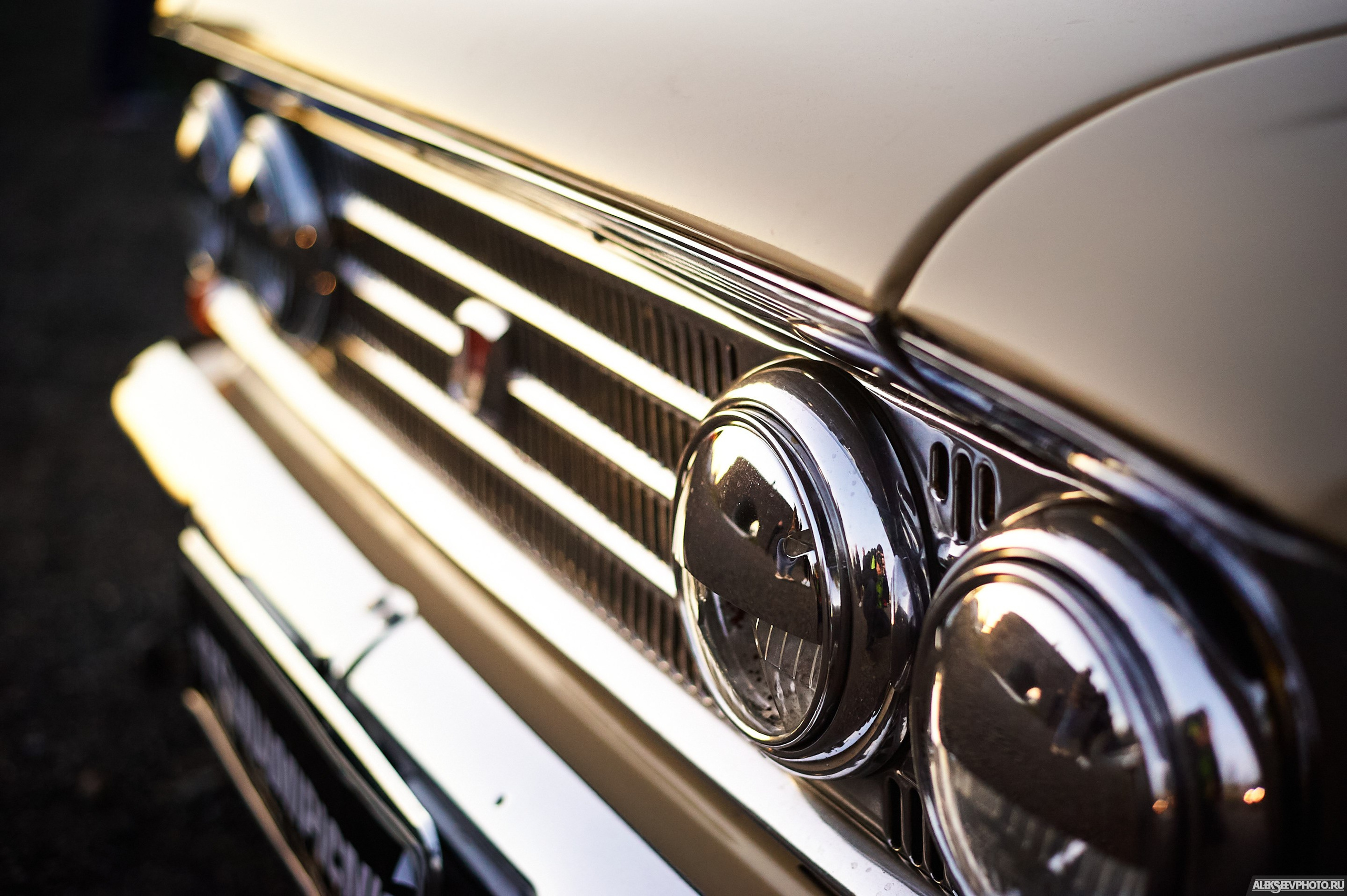 Tsunami Picnic 2020 — expo. Фотограф Алексей Алексеев