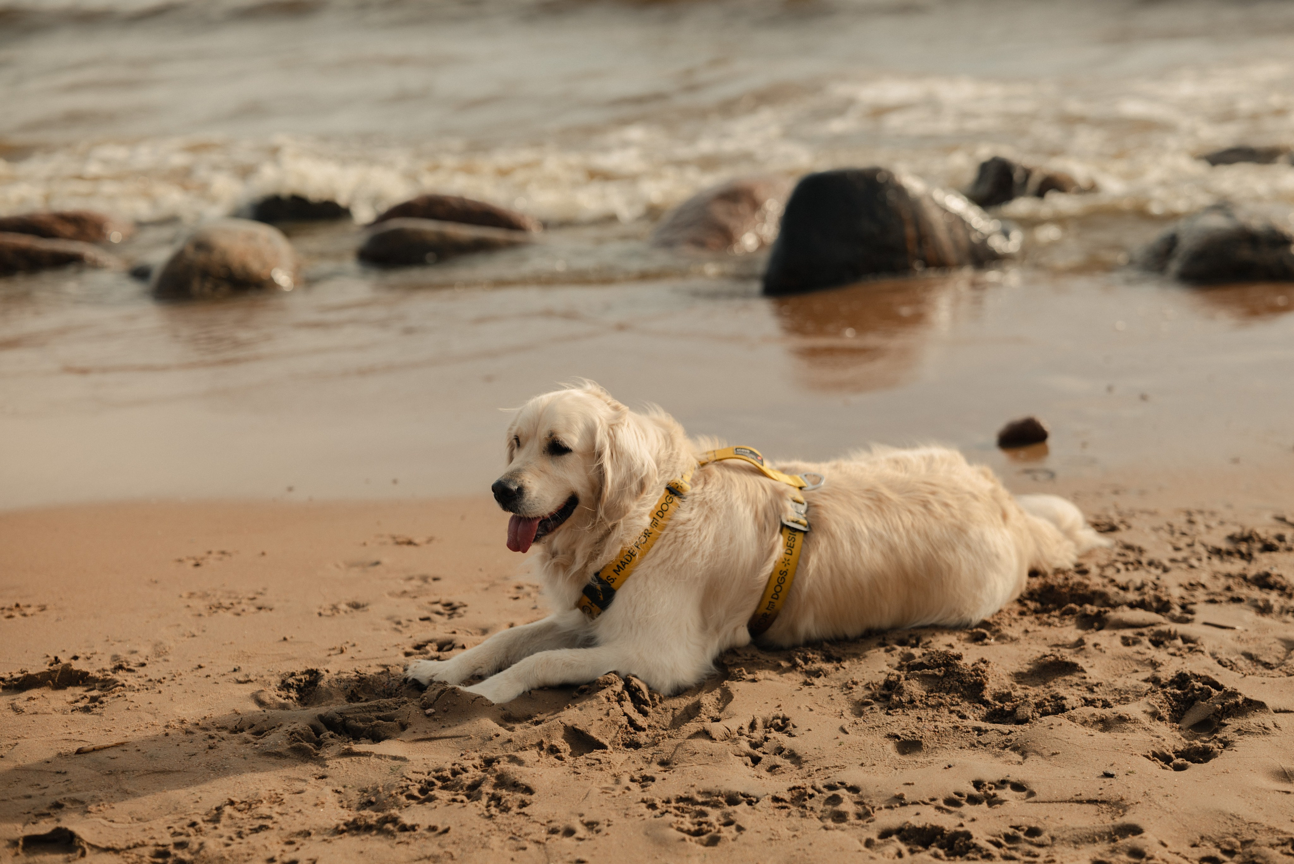 Семейная фотосессия спб. Фотограф Ника Лиепа