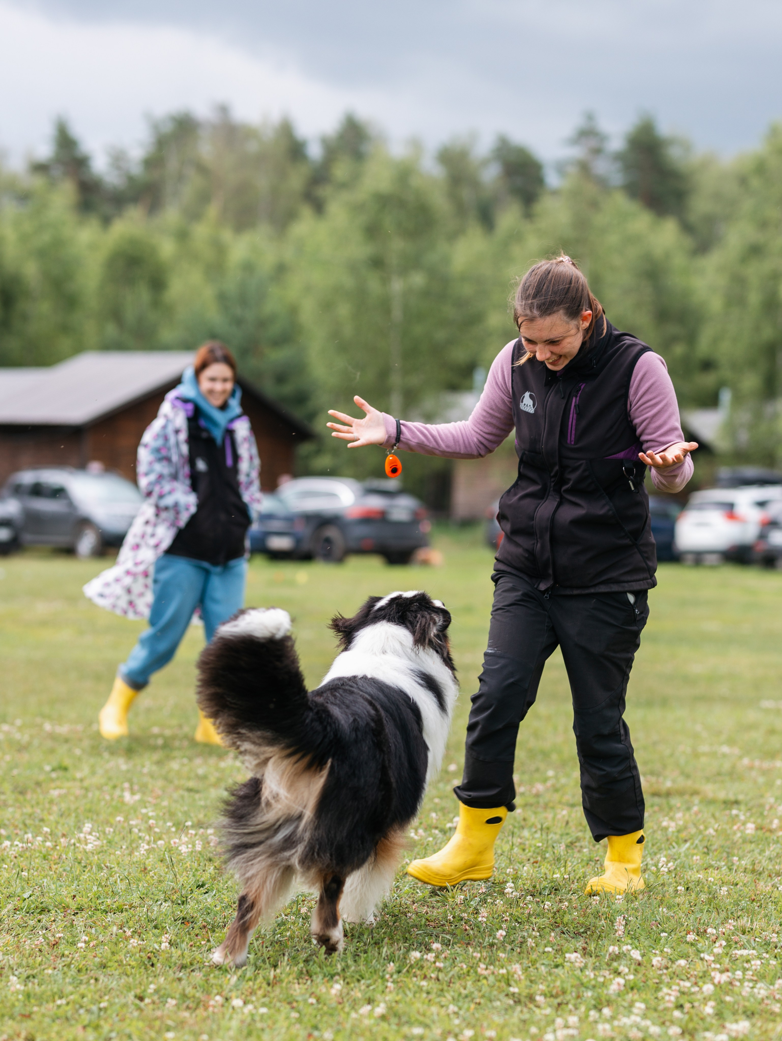 Лагерь ноузворк. Фотограф-анималист в Москве Кириллова Татьяна