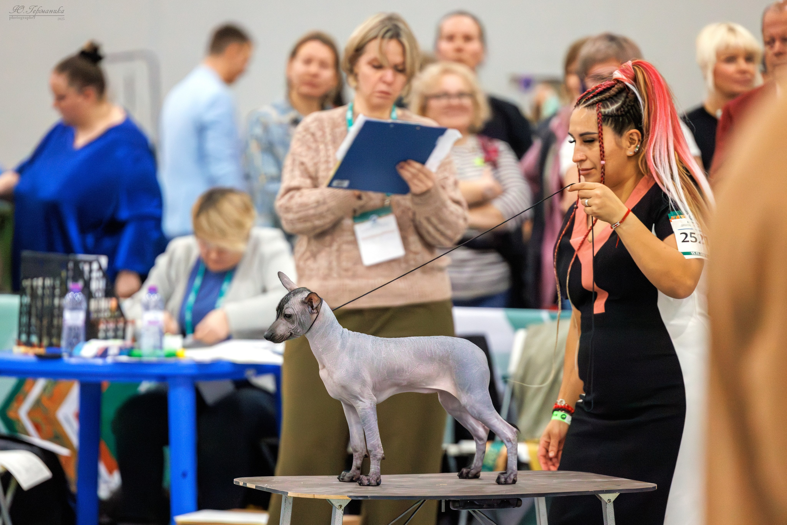 Евразия 15-16.11.2025. Фотограф-анималист Юлия Германика