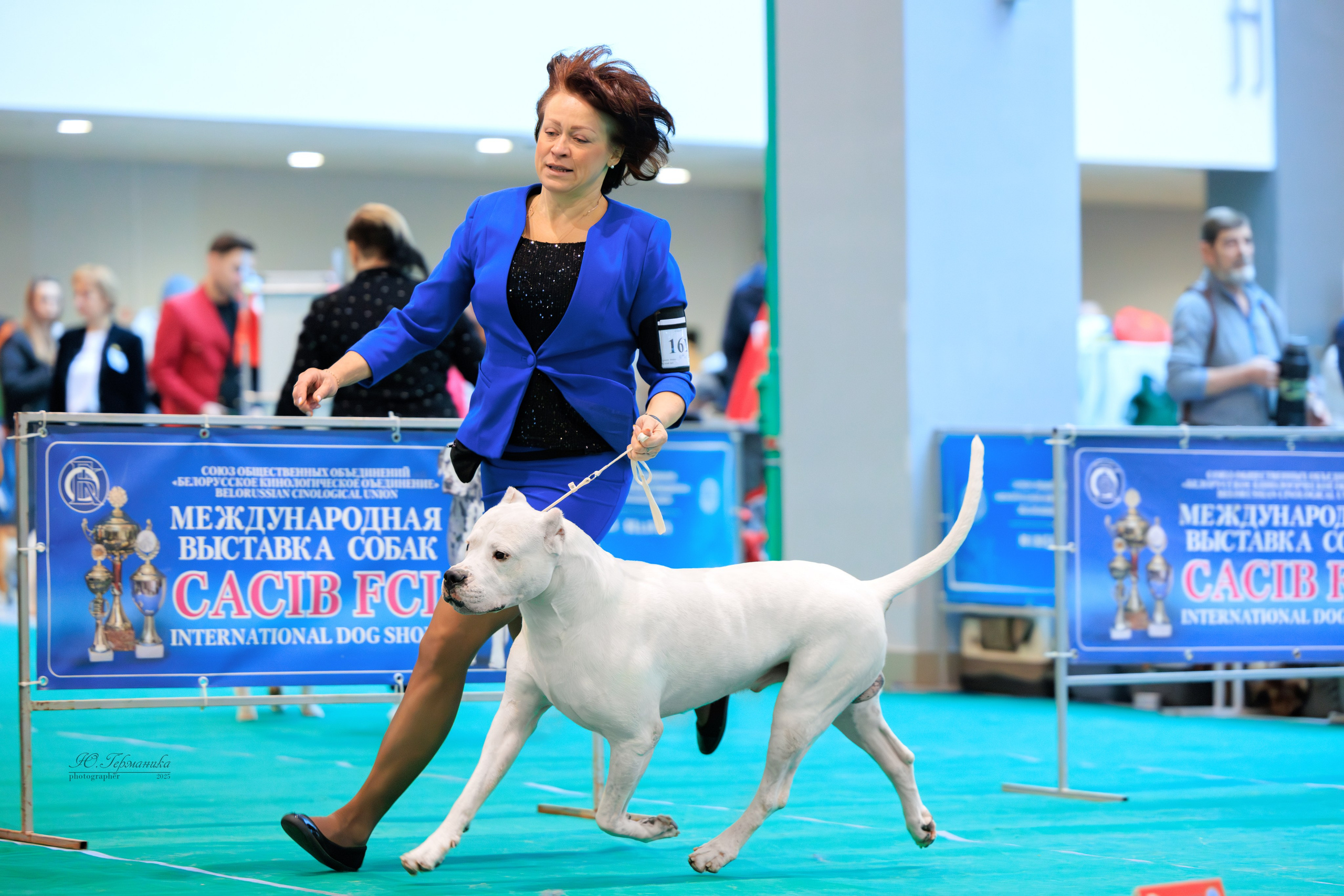 Минск 1-2.03.2025. Фотограф-анималист Юлия Германика