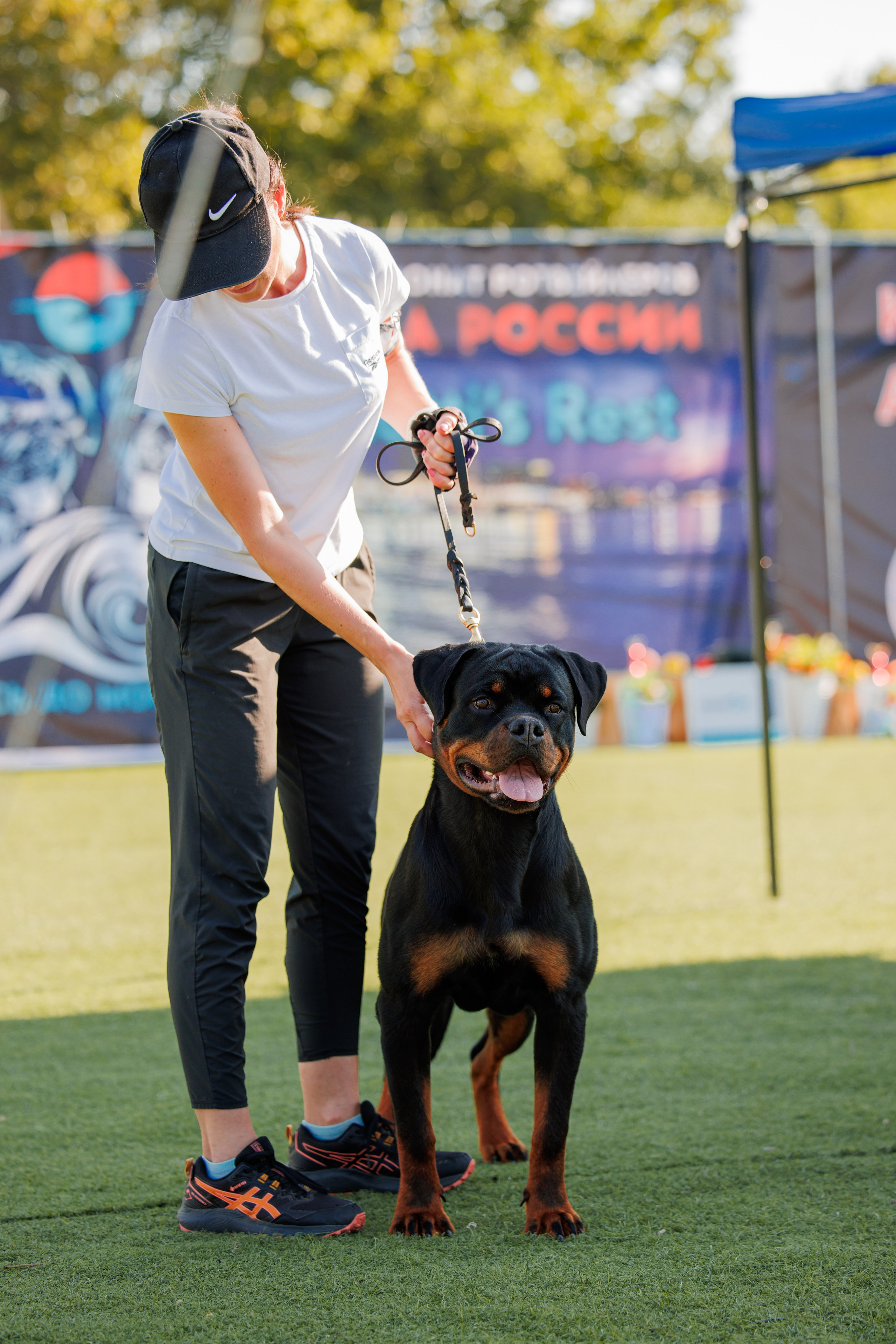 Анапа ротвейлеры 14-15.09.2024. Фотограф-анималист Юлия Германика