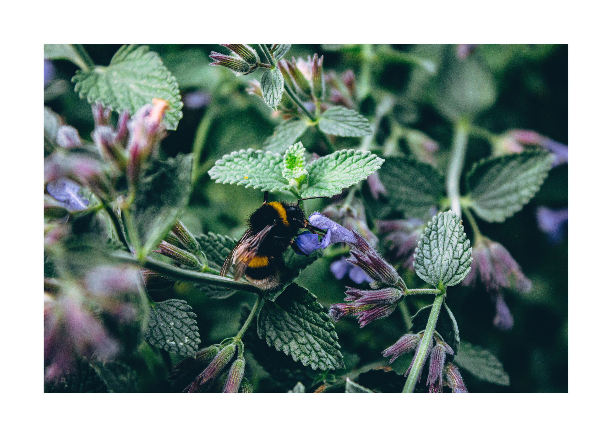 постер постеры море фото на стену фото для печати фото в раму декор из фото