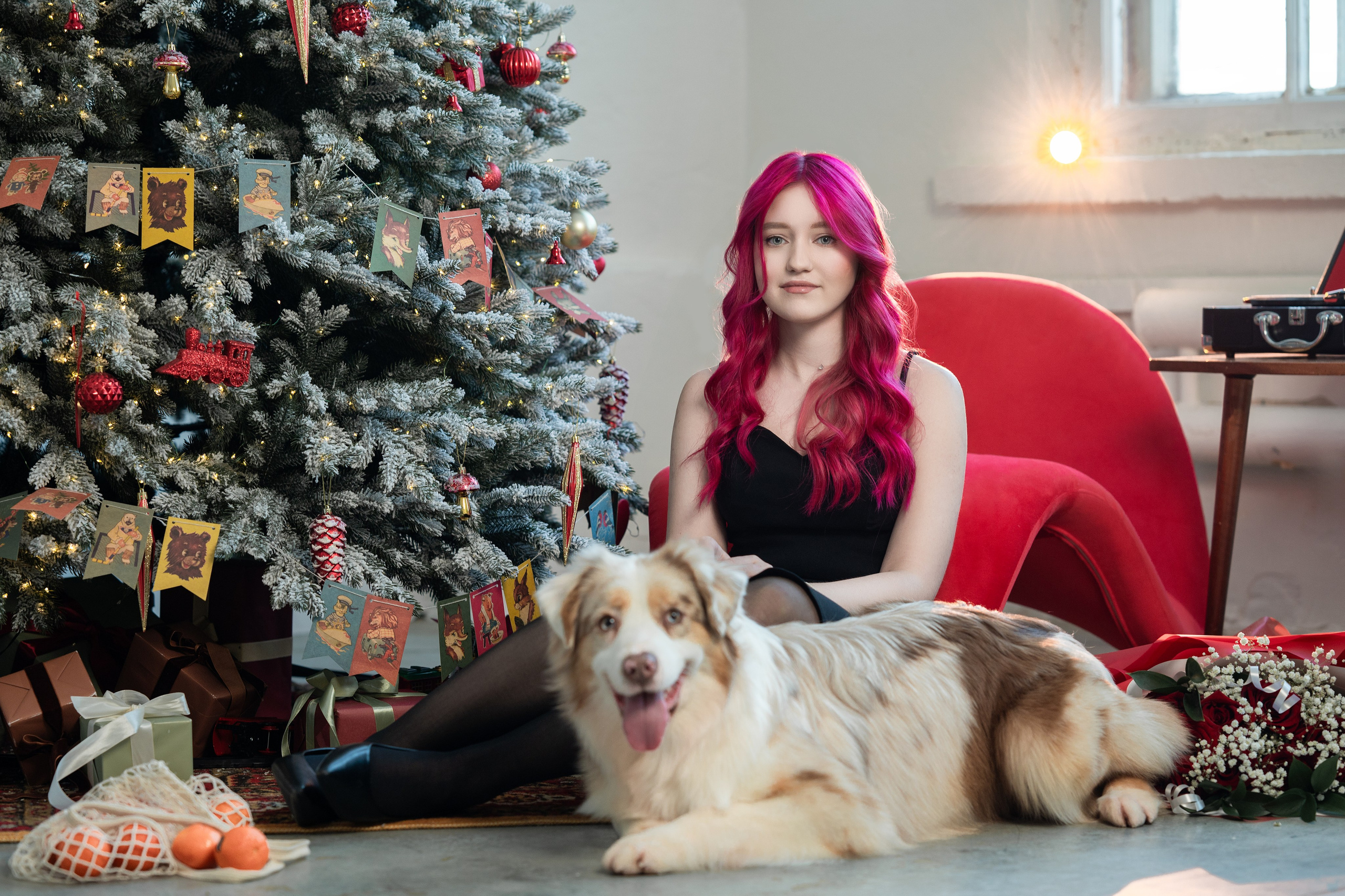 Фотодень с Австралийской овчаркой. Творческий фотограф Вологда