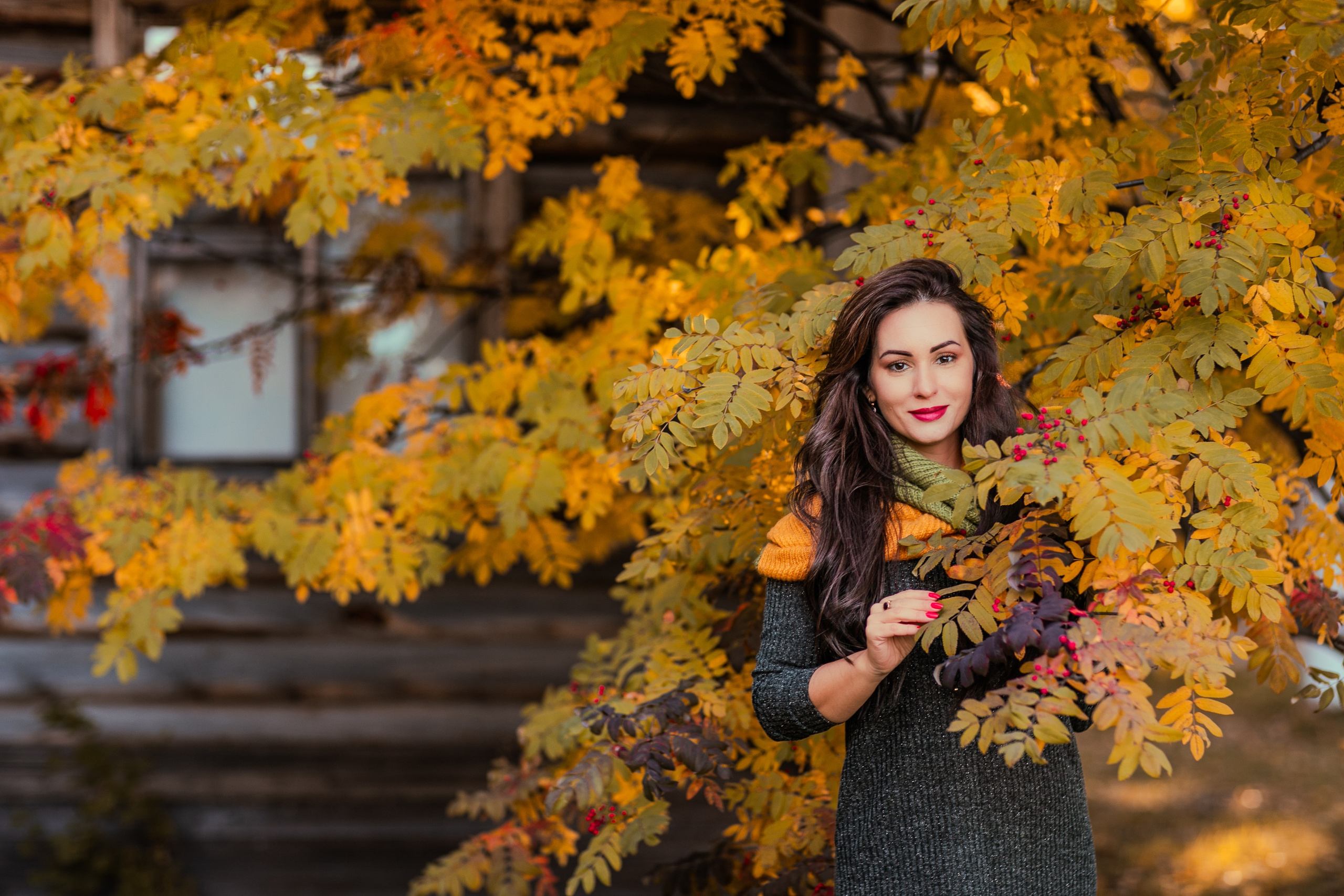 Багрец и золото. Фотограф Елена Вишневская (Ушакова) Нефтеюганск, Сургут, Тюмень