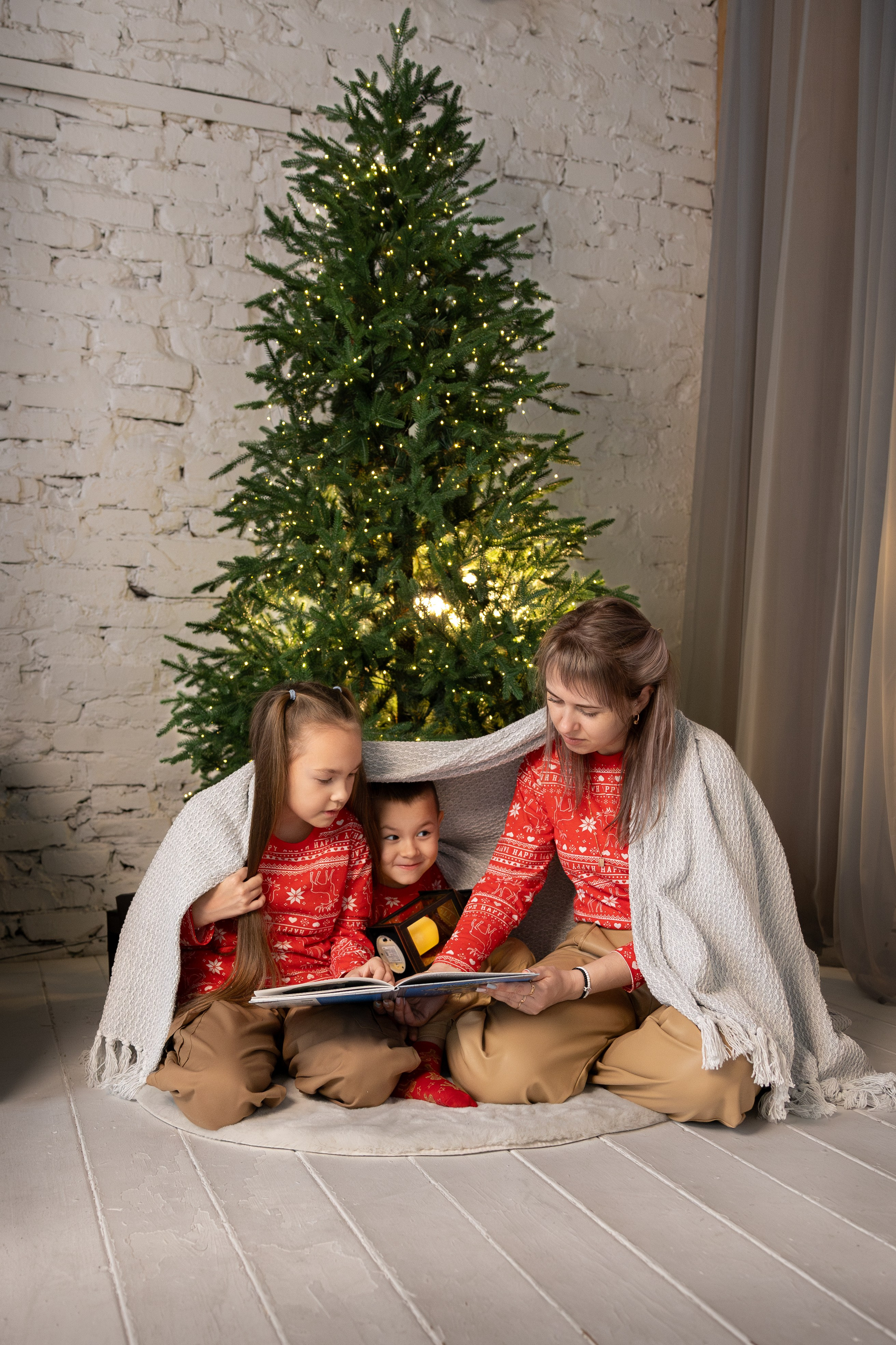 Новогодние. Фотограф Новосибирск, Академгородок, Бердск — Айна