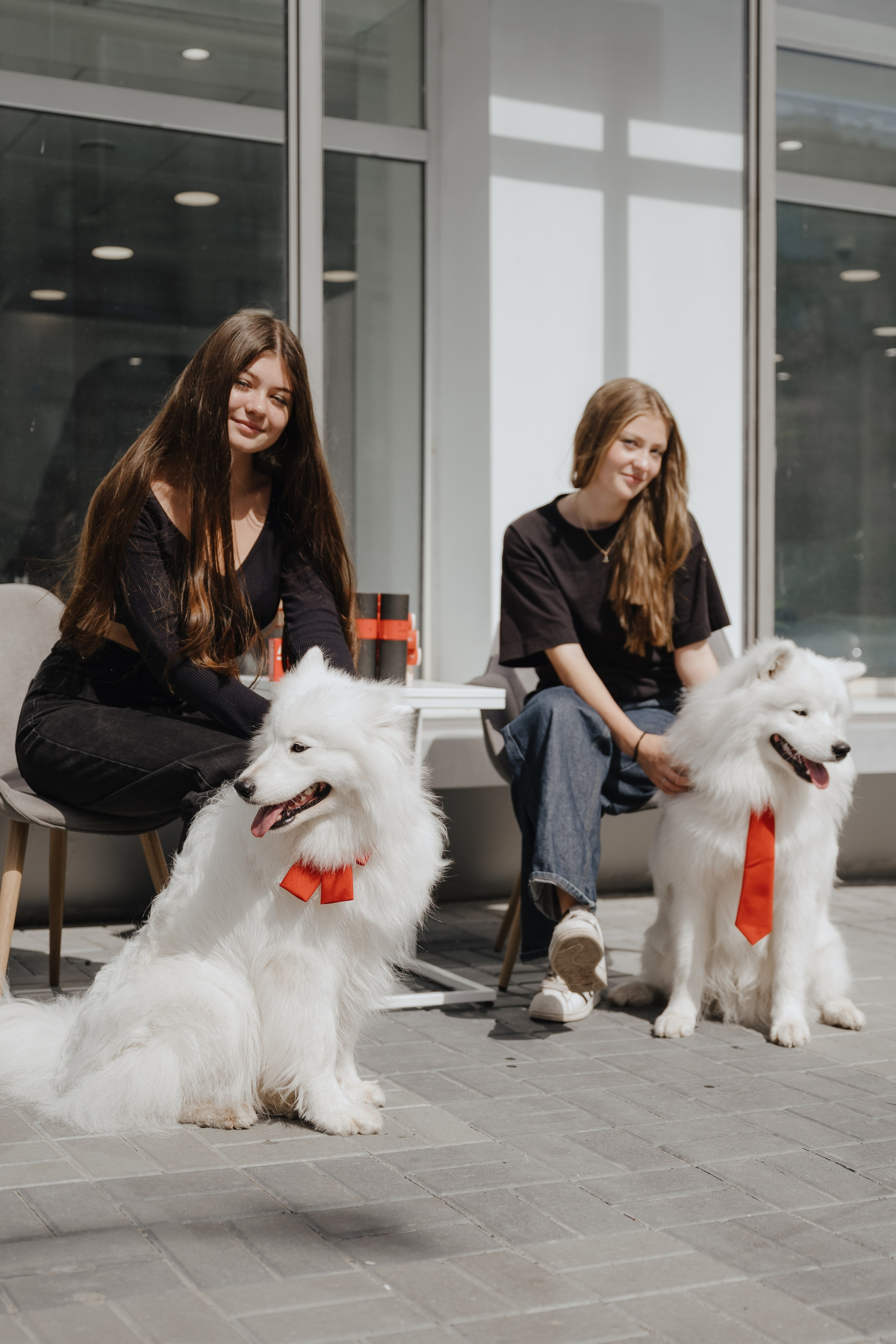 Альфа банк Карла Маркса 55. Фотограф Кристина Тумаева. Самоед Новосибирск