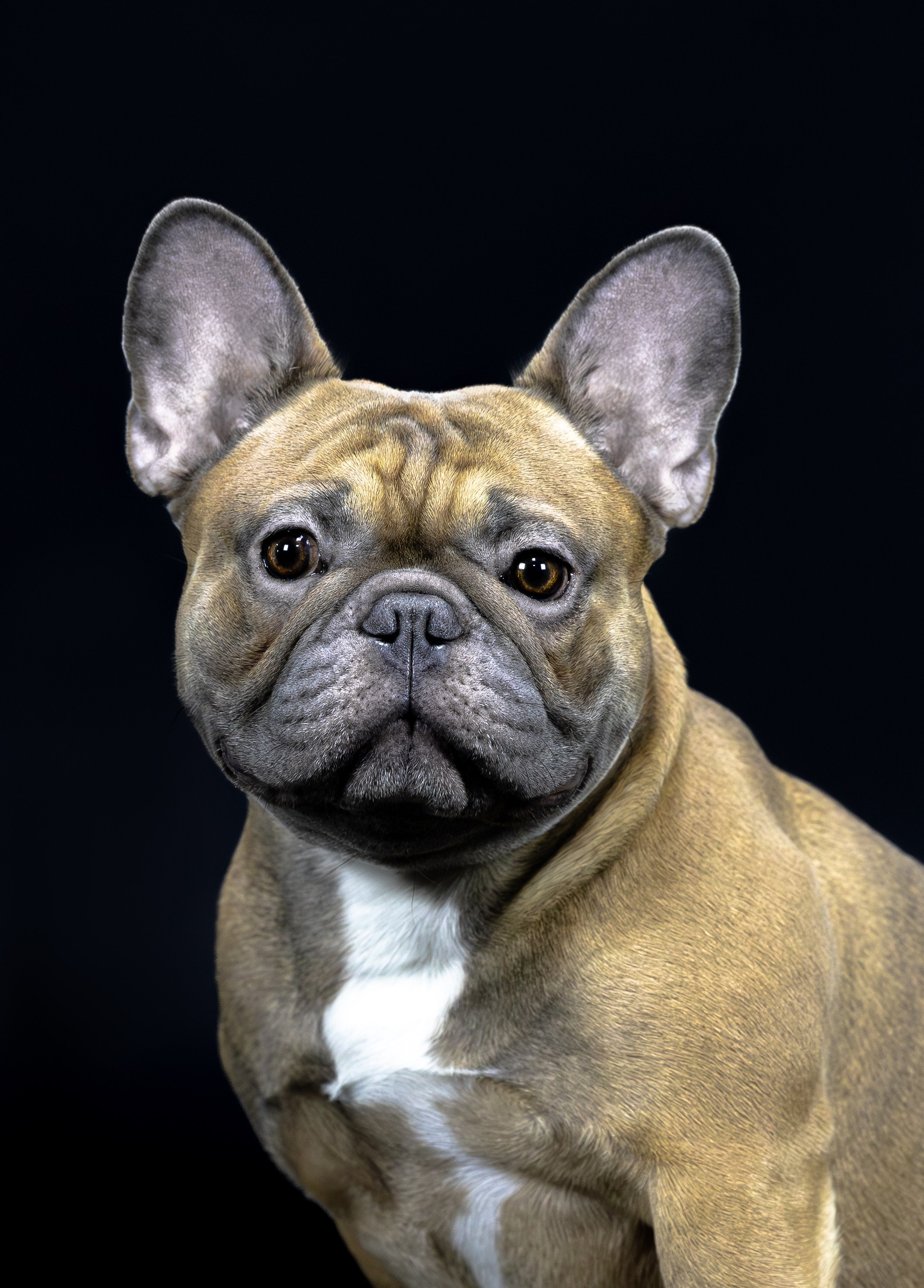 Студия. Главная