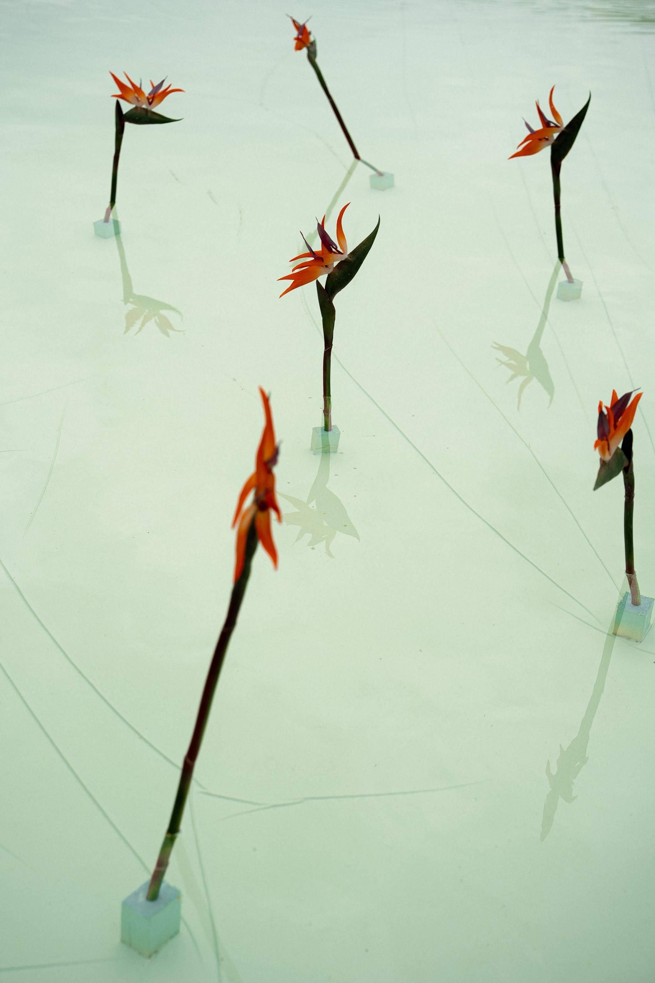 Masha+Vitalya 19/05/25. Семейный и портретный фотограф в Саратове Сахарова Маша