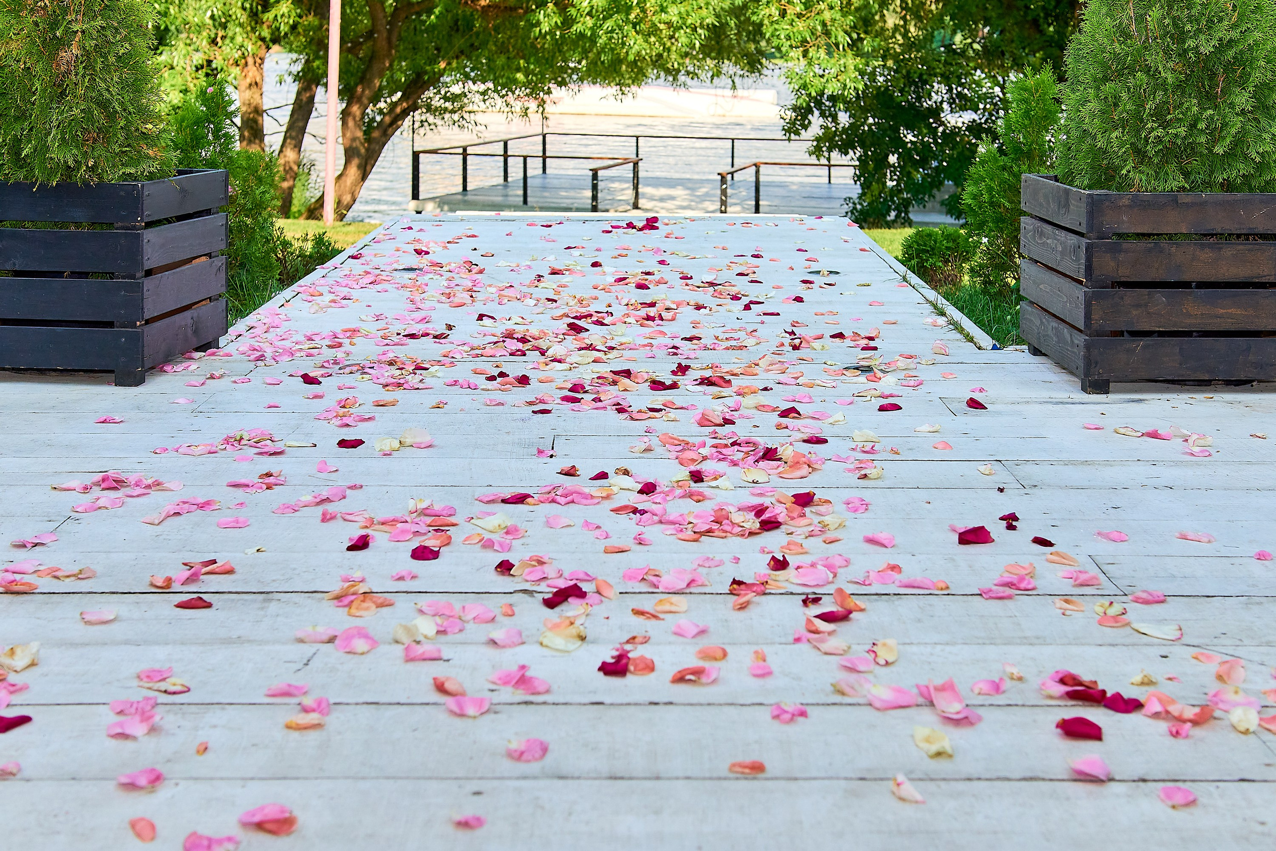 Свадебный фотограф в Москве