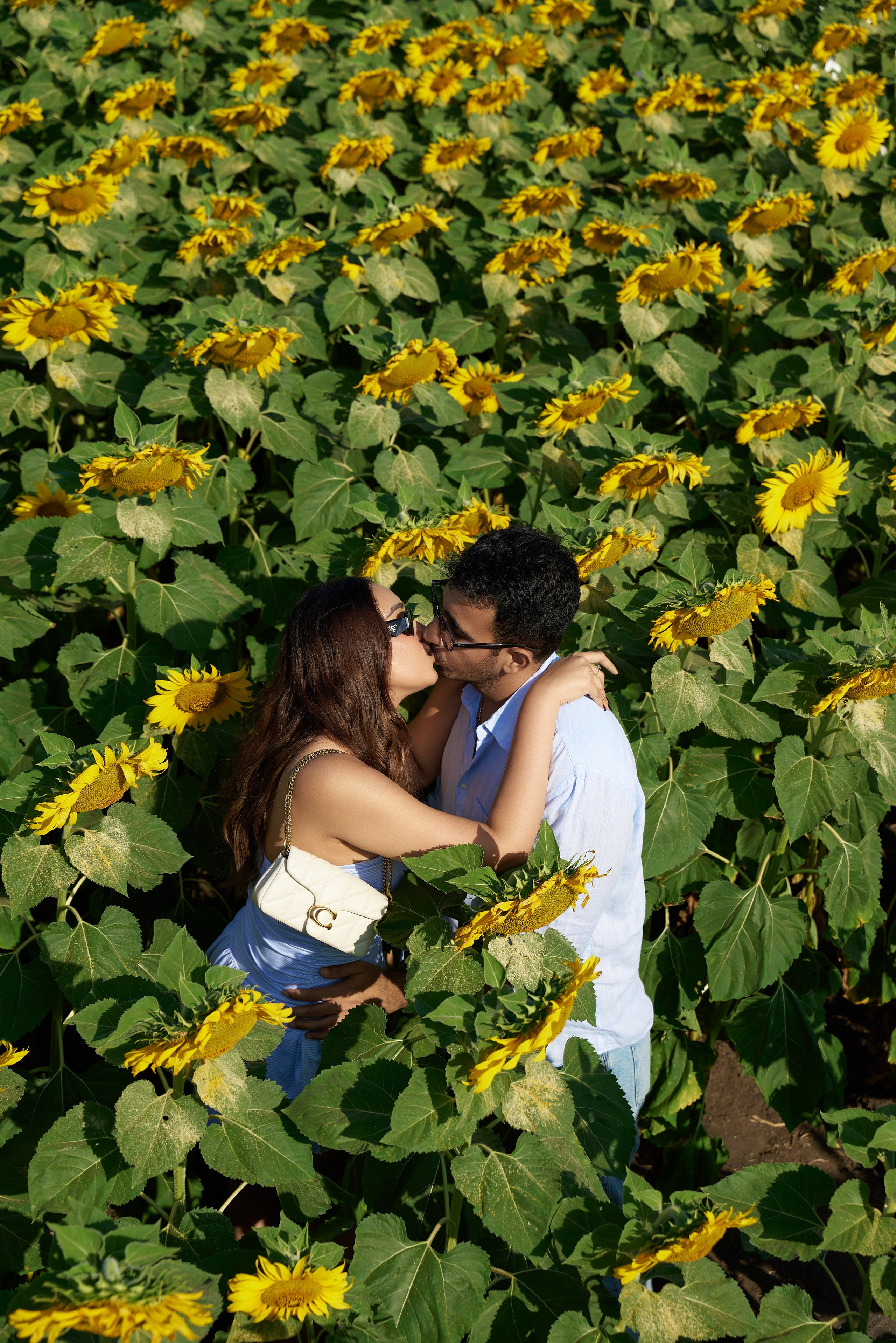 Love in the field. Photographer Bangkok — Pattaya | фотограф Бангкок — Паттайа