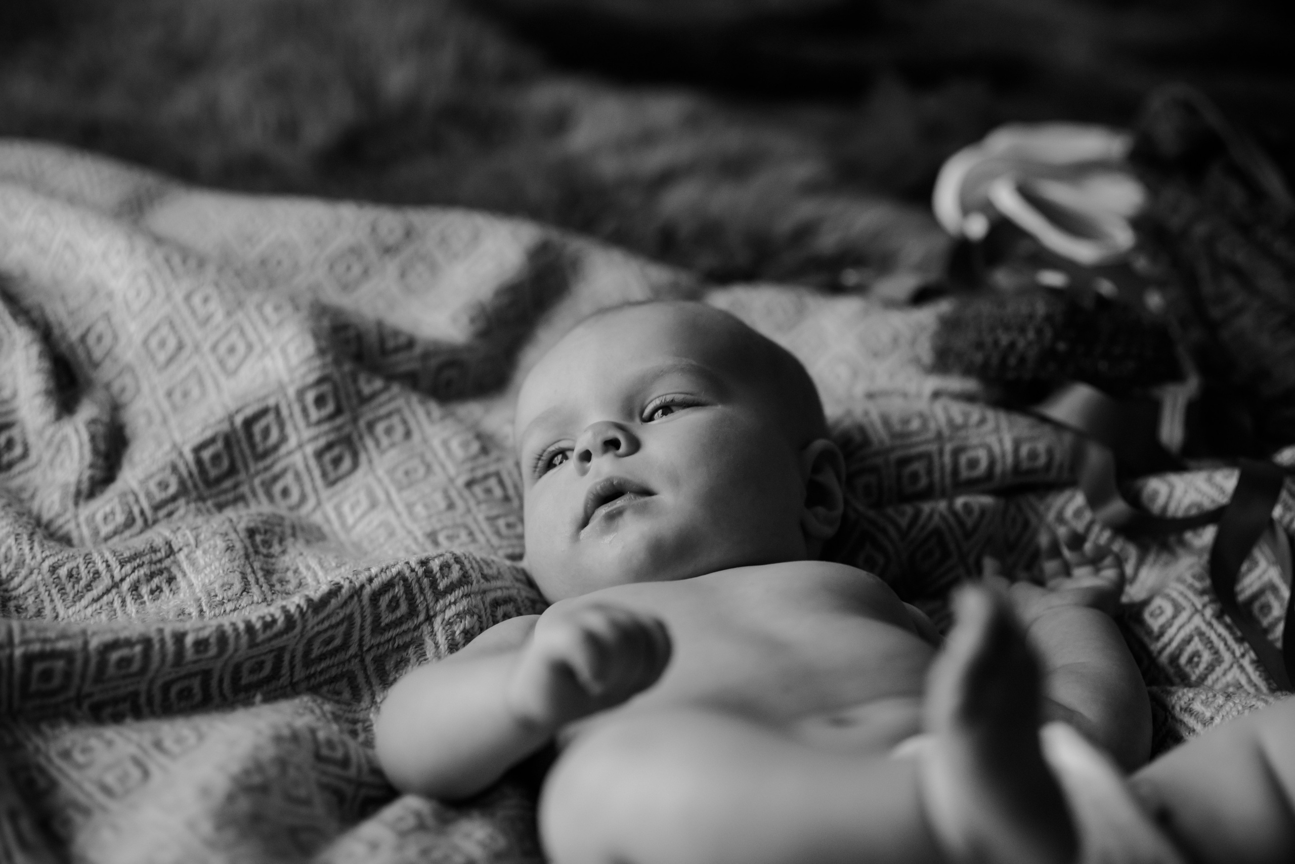 Алина&Ева. Свадебный и семейный фотограф Евгения Кононова