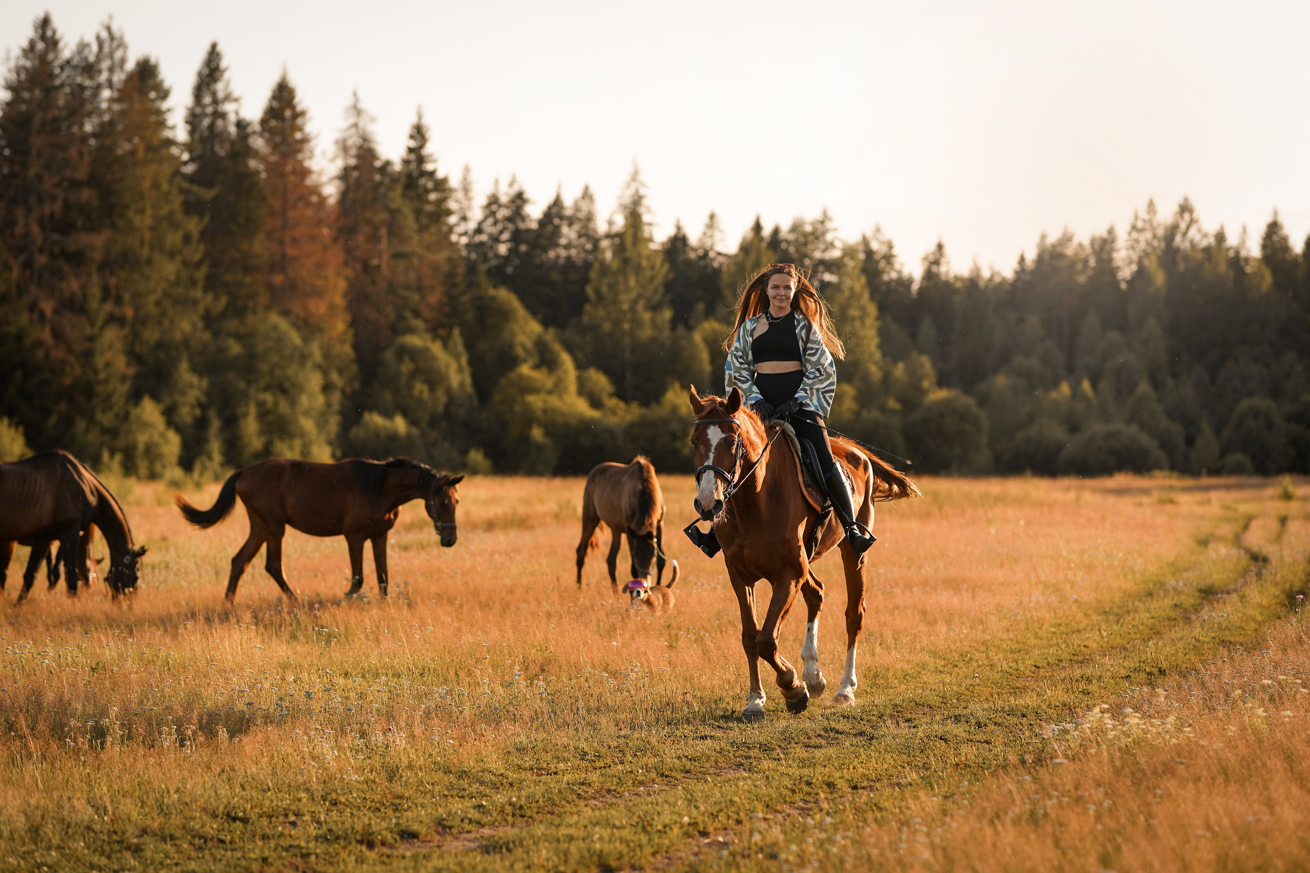 Лера Джон и Диамант. Фотограф-анималист в Санкт-Петербурге Яна Мартынова