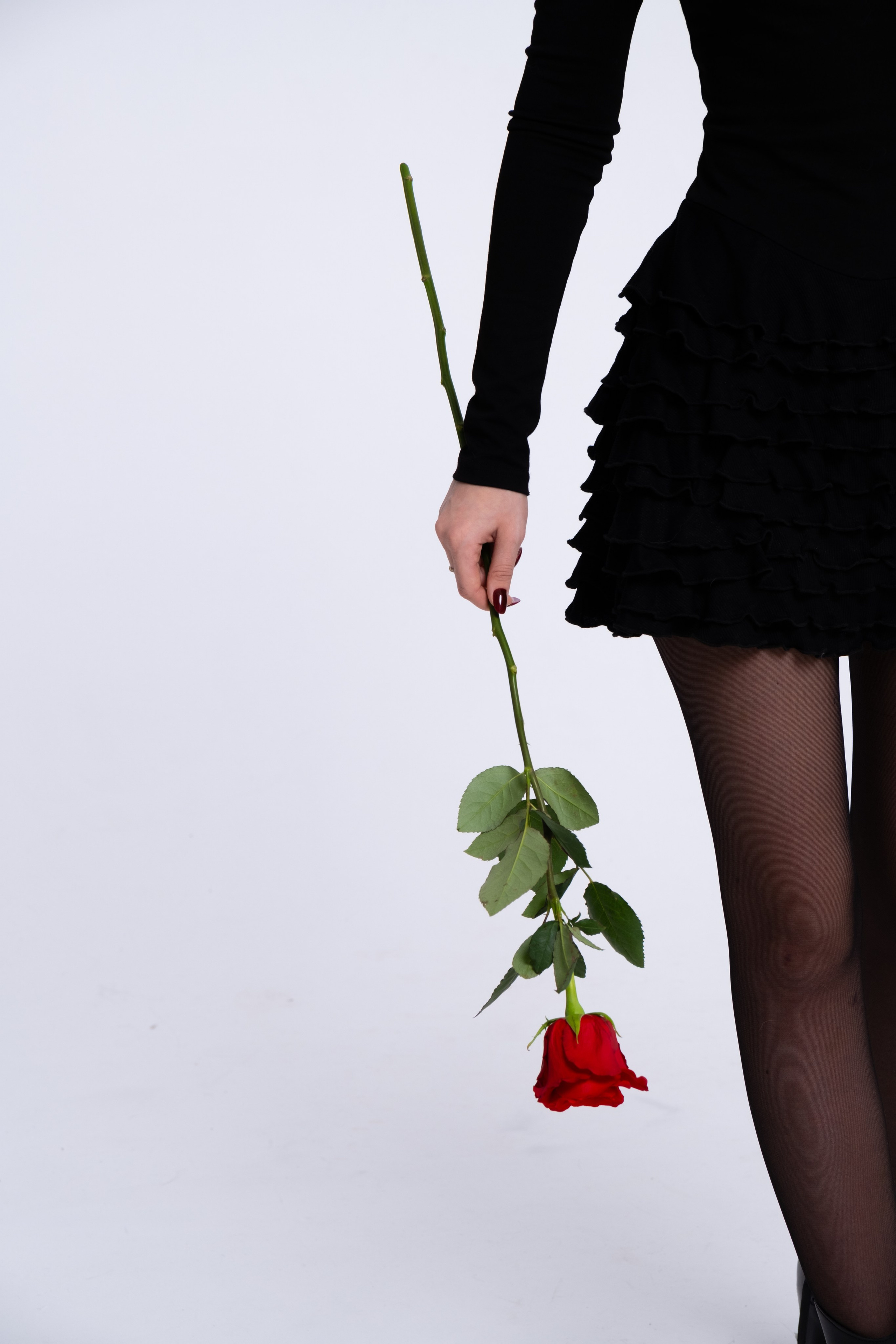 Аля | The red rose. Фриланс фотограф. Репортажи, портреты, семьи. СПб
