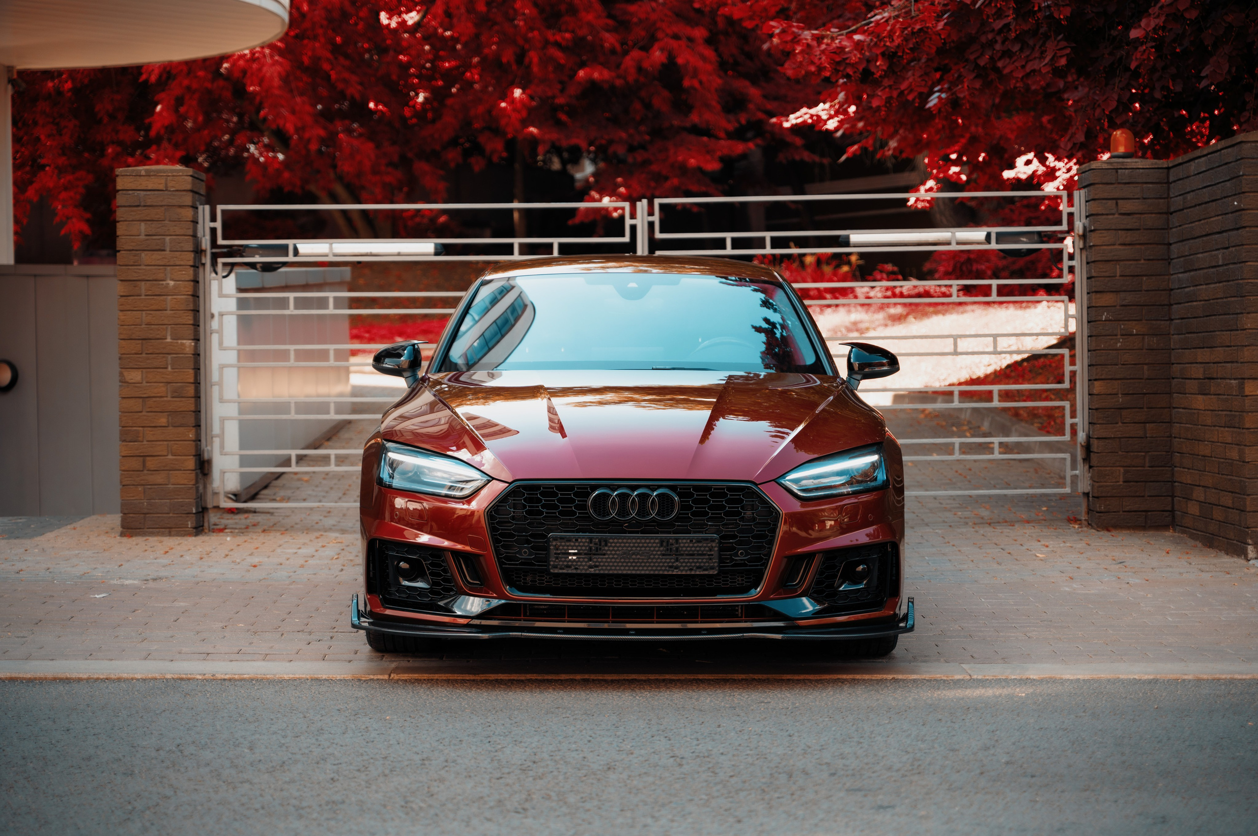 Audi. Фотограф Вадим Лакомкин