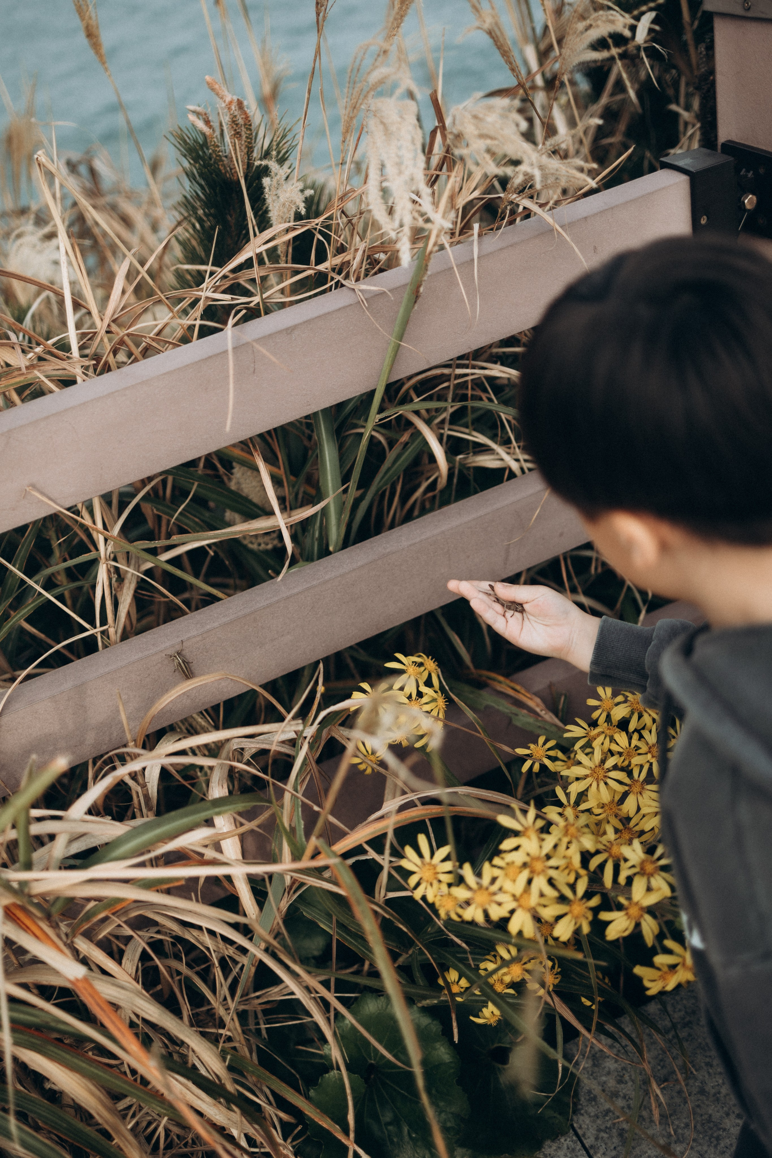 Уля и Джун семейная история мамы и сына🤍. Фотограф Артем Бросов в Санкт-Петербурге и Дубае