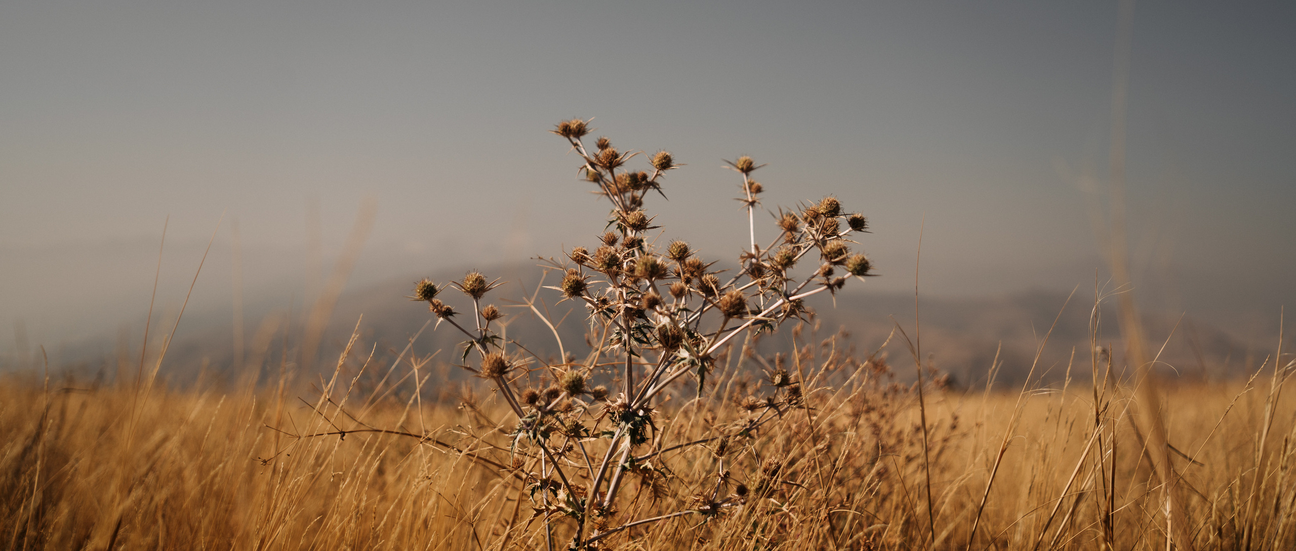 Путешествия. Фотограф в Хабаровске. Фотография за 24 часа