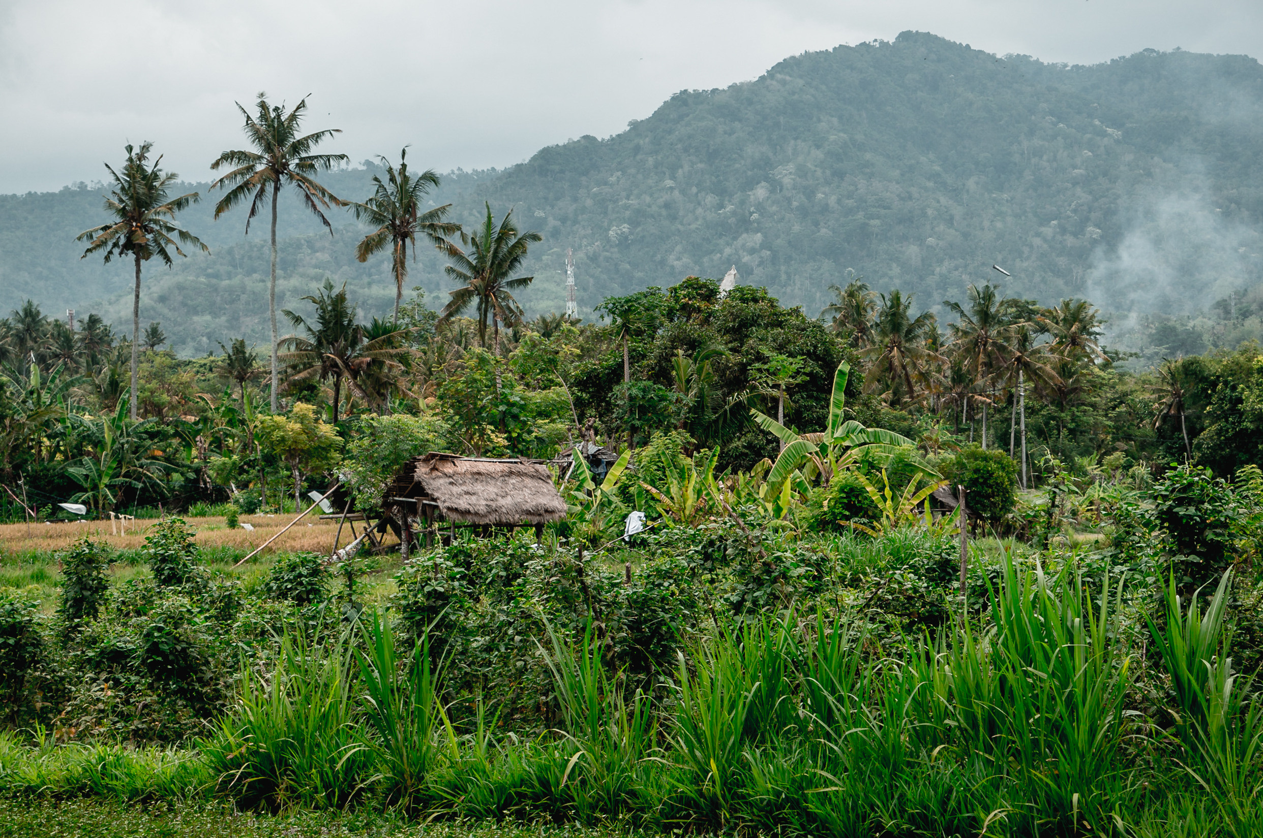 Путешествия. Фотограф в Хабаровске. Фотография за 24 часа