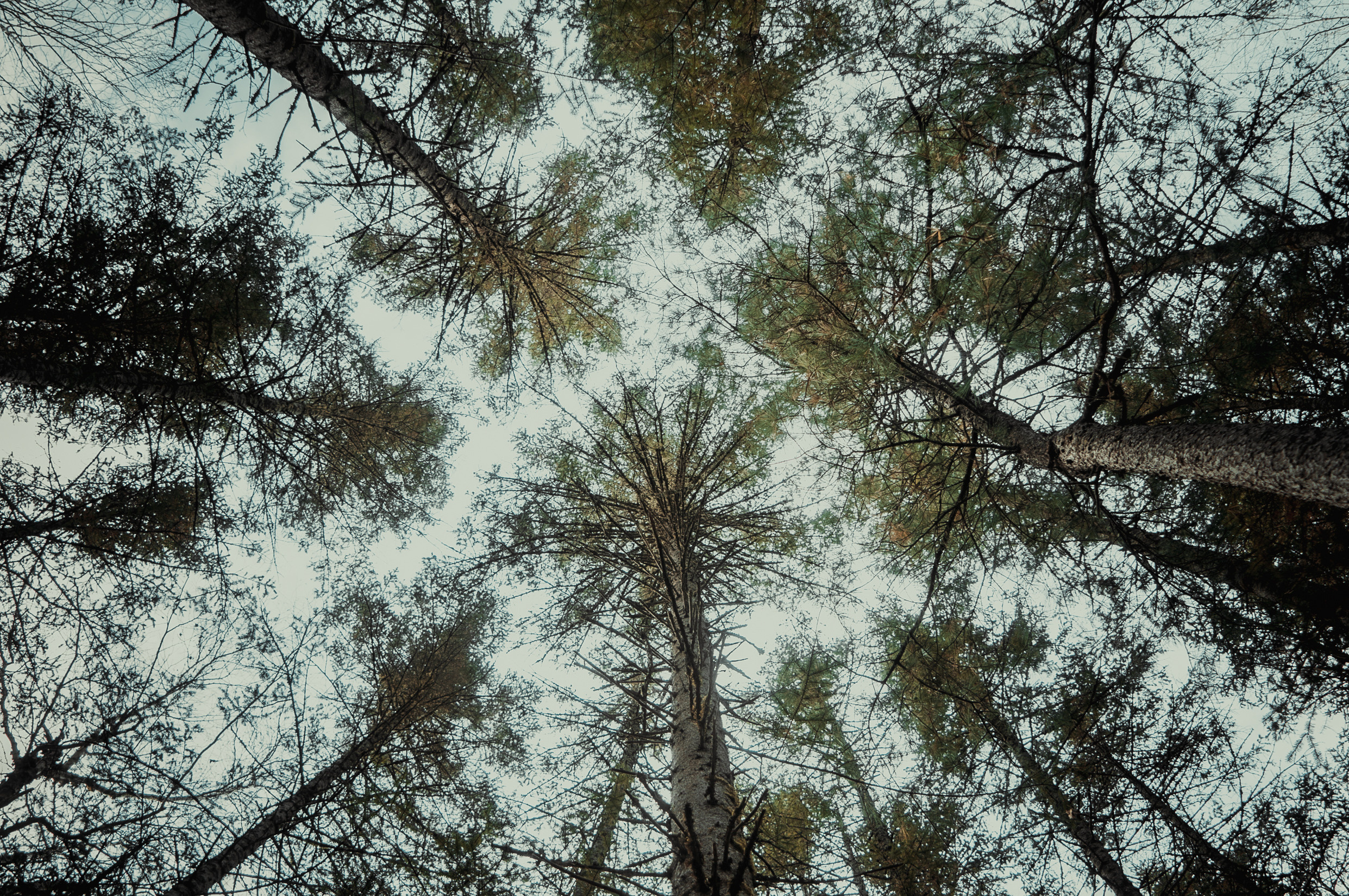 Путешествия. Фотограф в Хабаровске. Фотография за 24 часа